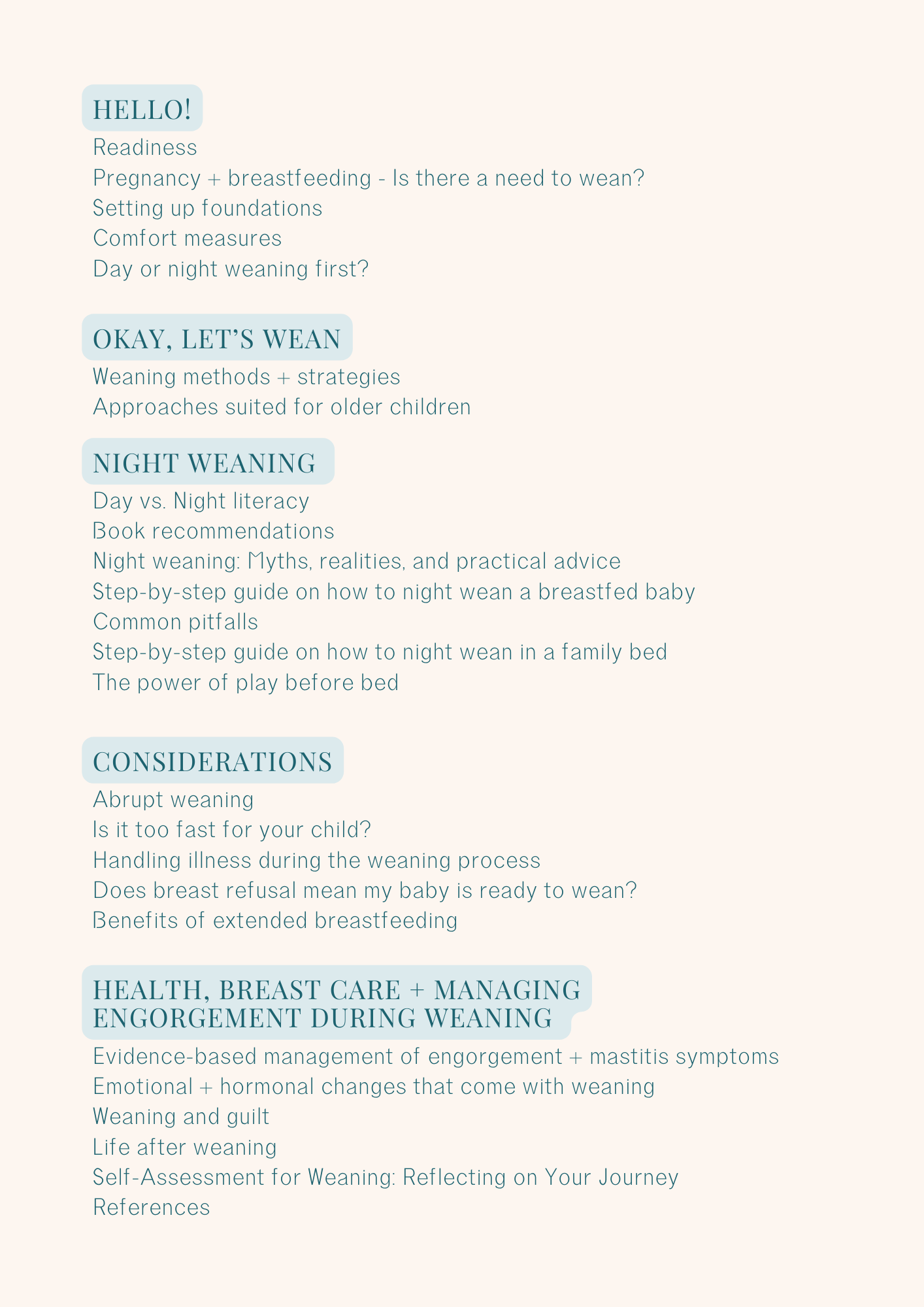 Breastfeeding Journey Breastfeeding Two Babies Thrive 2-in-1