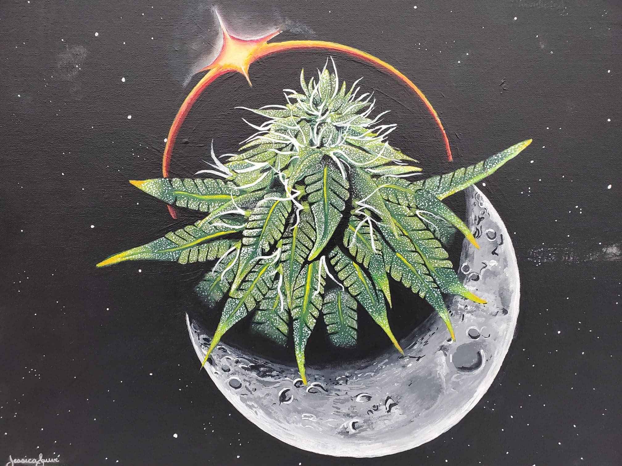 moondustedoriginal.jpg