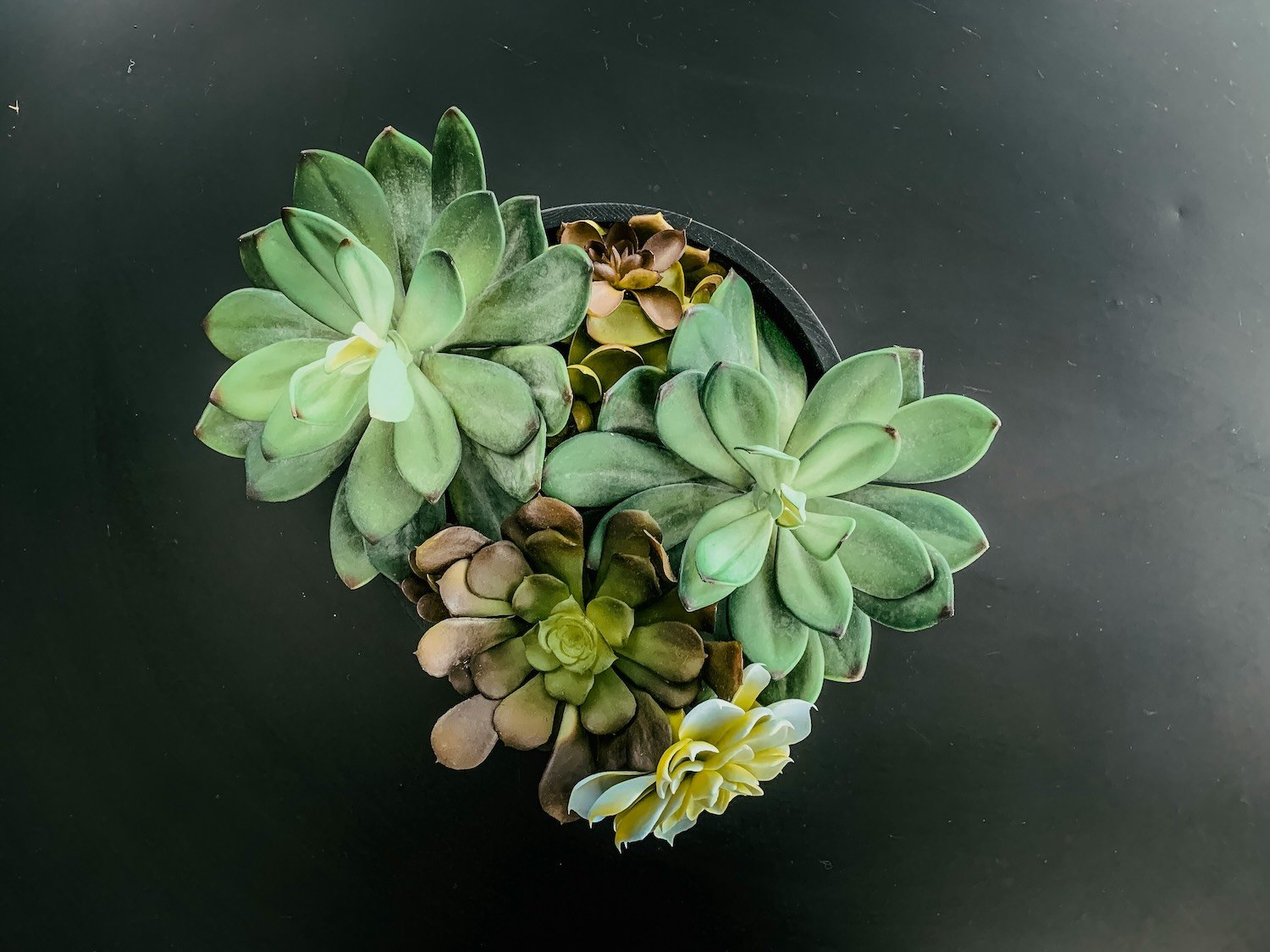 Hourglass Counseling and Wellness Services online telehealth therapy