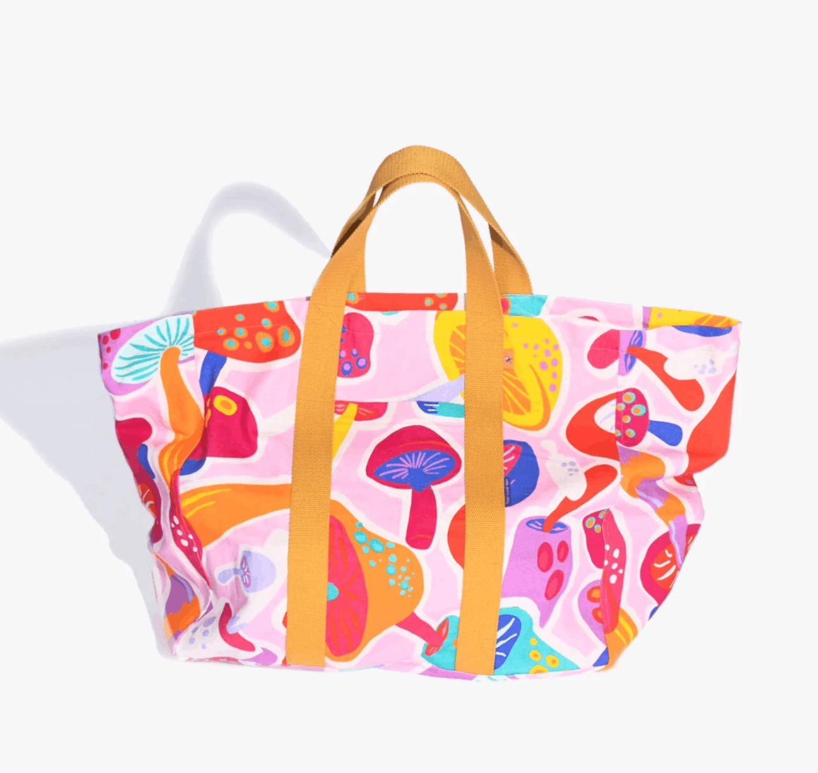 Screenshot 2026-02-21 at 8.38.41 pm.png