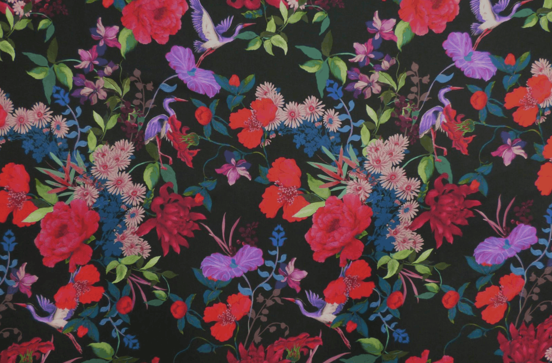 Screenshot 2026-01-15 at 1.11.05 pm.png