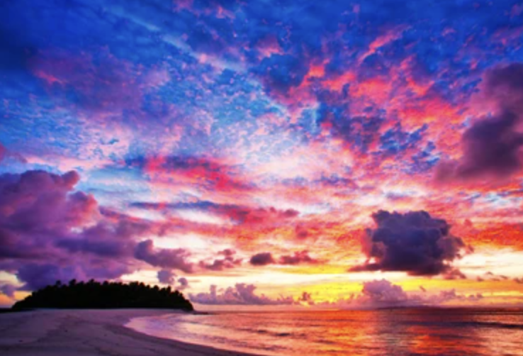 Screenshot 2026-02-12 at 12.52.18 pm.png