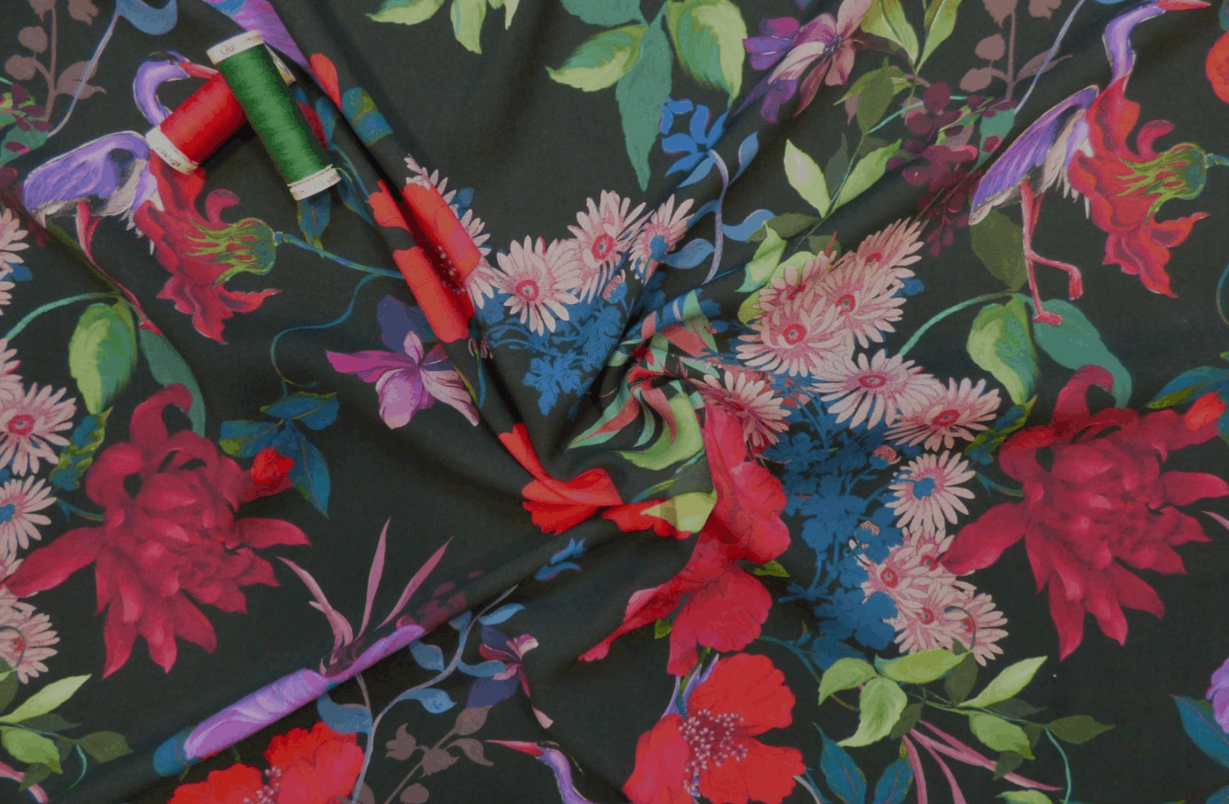 Screenshot 2026-01-15 at 1.11.12 pm.png