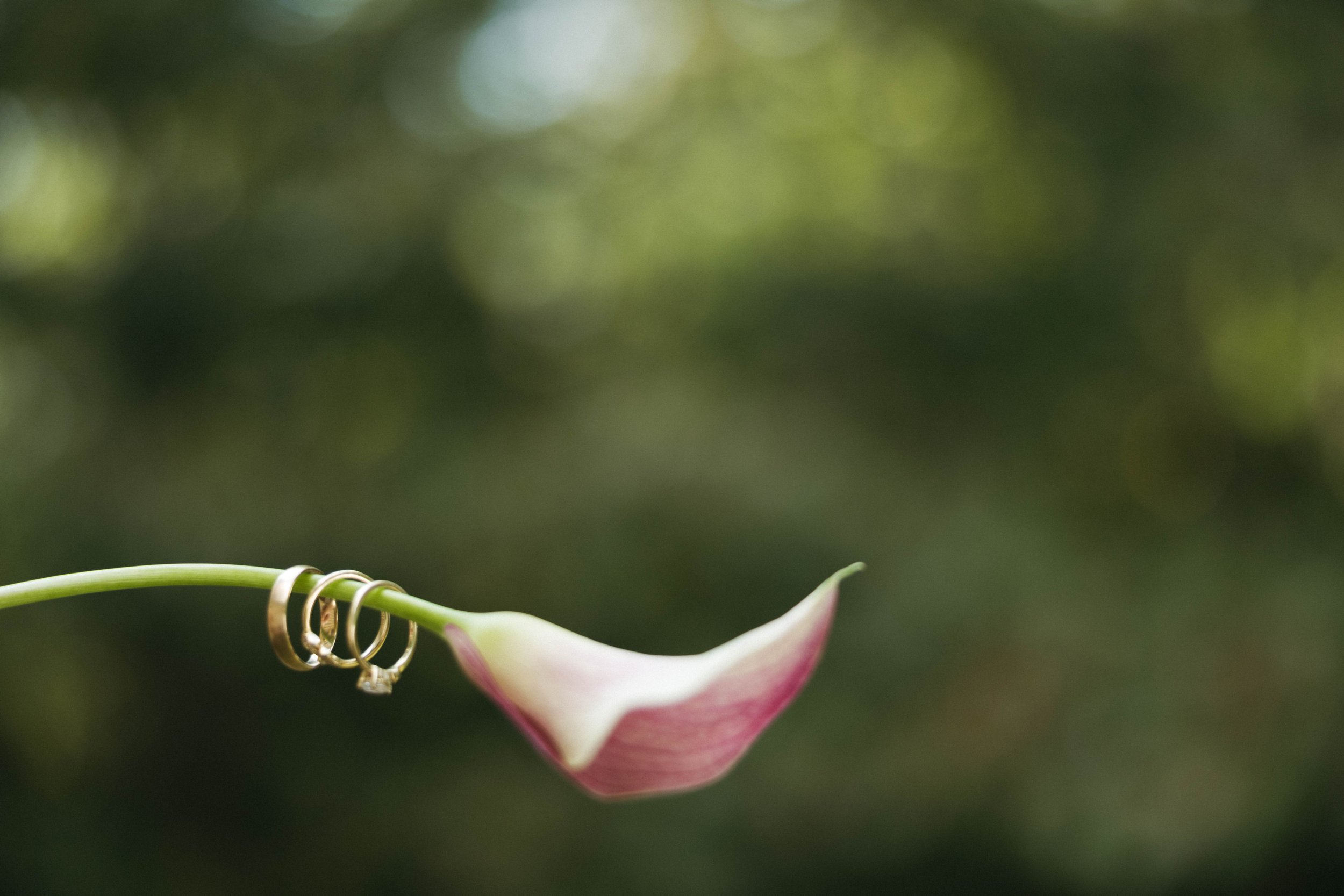 Wright Details _ Piper Anne Photo -2312.jpg