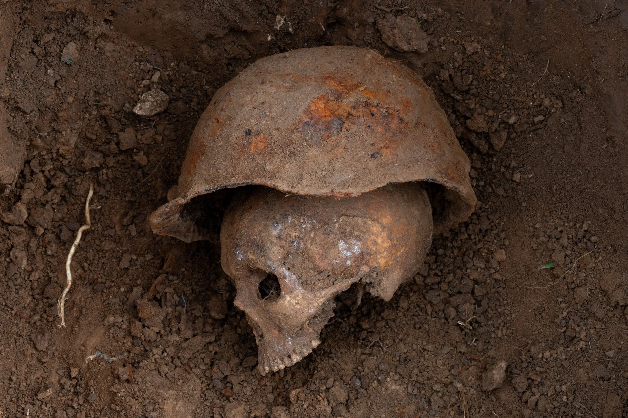 A WWII skull recovered by Legenda Military Archaeology in Latvia