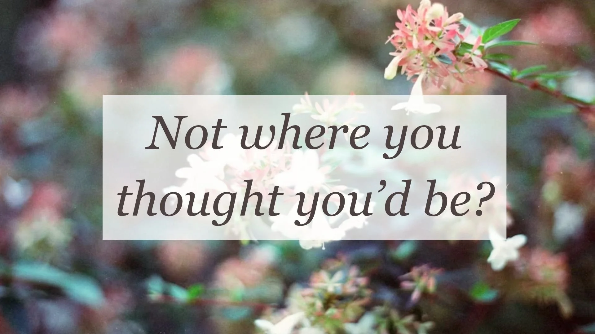 Not where you thought you’d be?