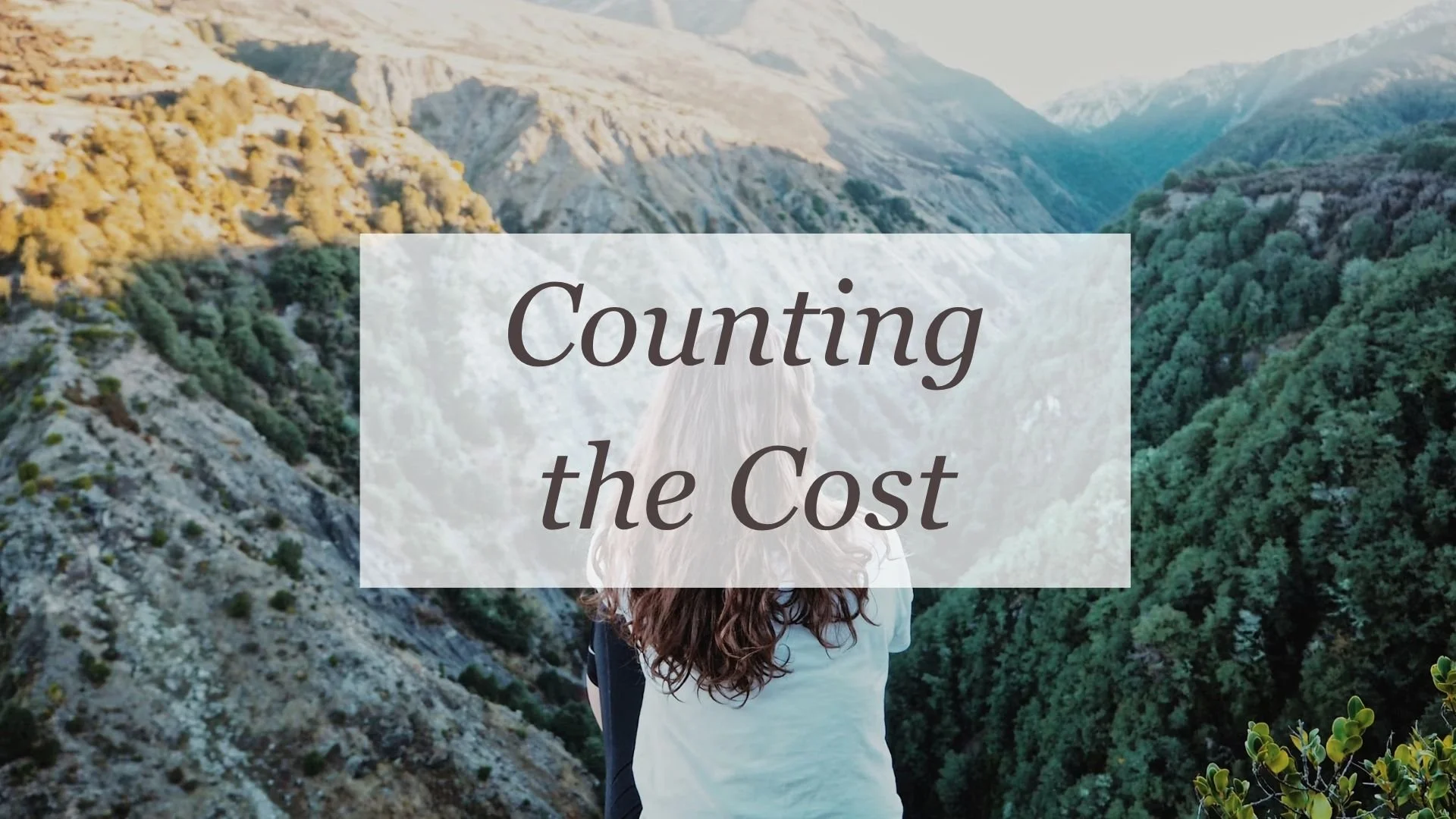 Counting the Cost