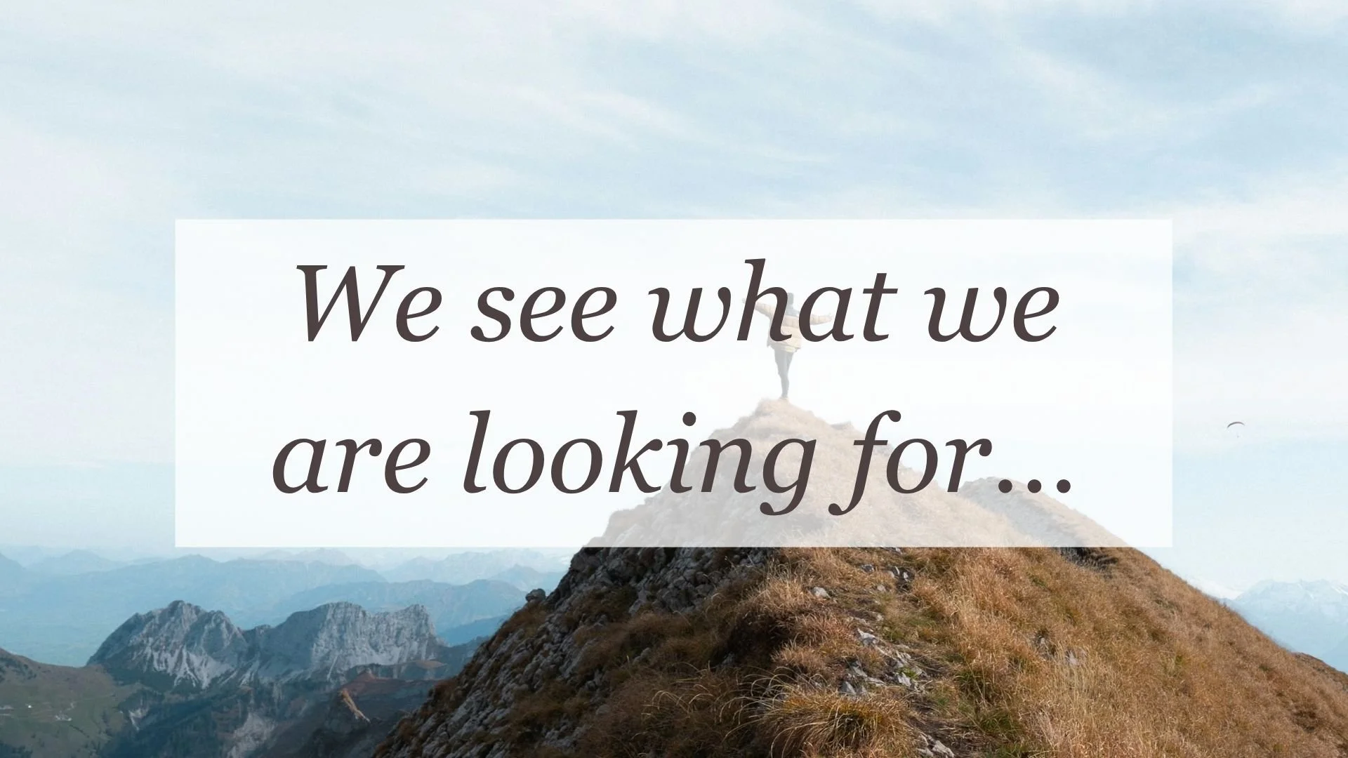 We see what we are looking for…