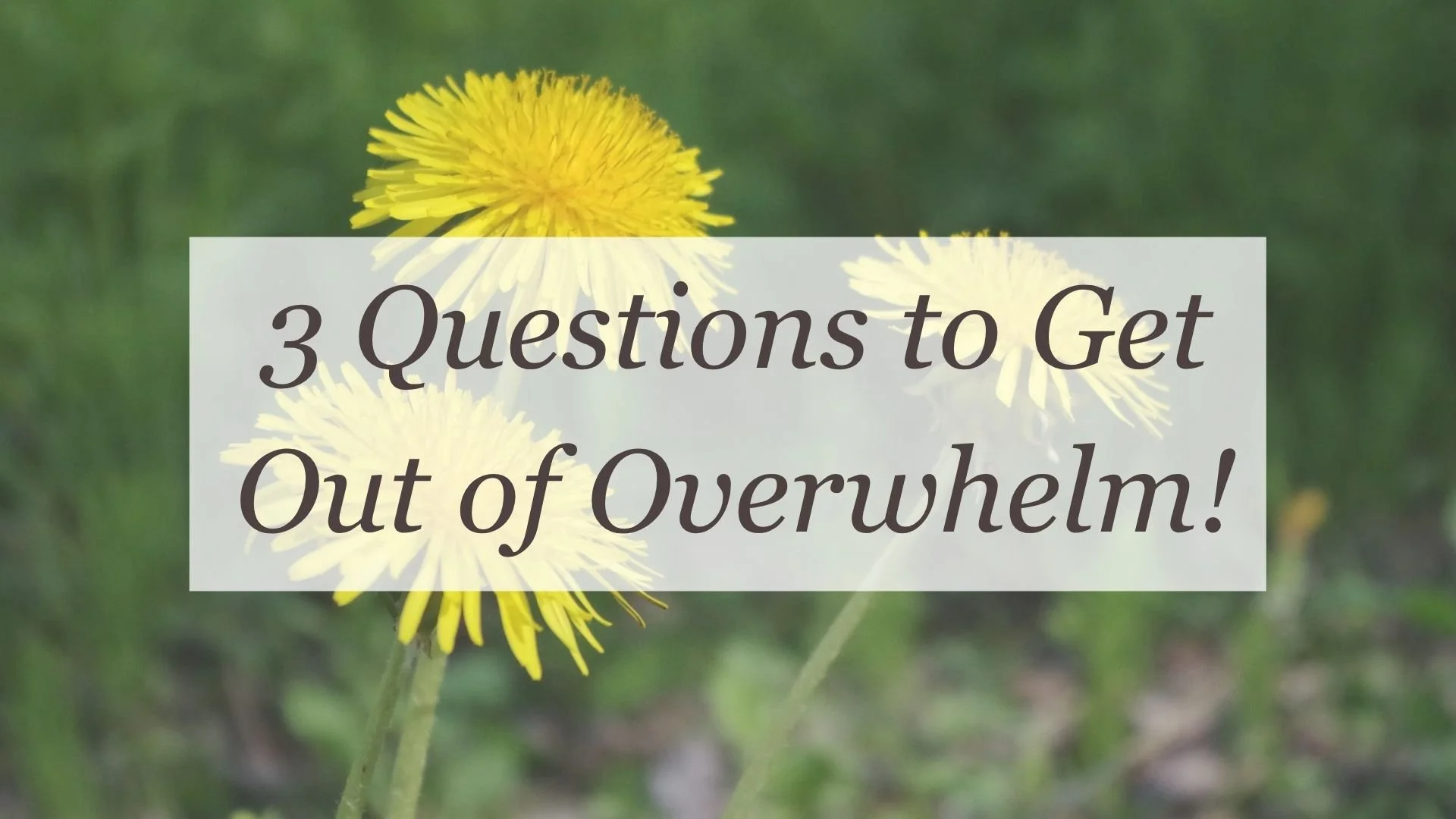3 Questions to Get Out of Overwhelm!