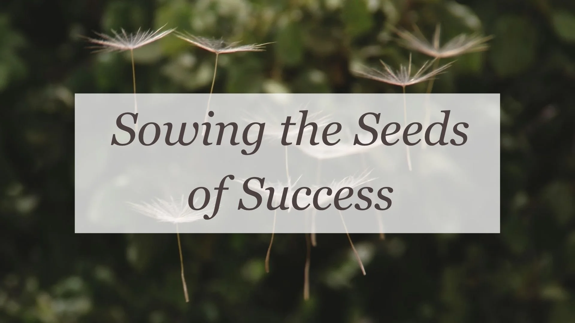 Sowing the Seeds of Success