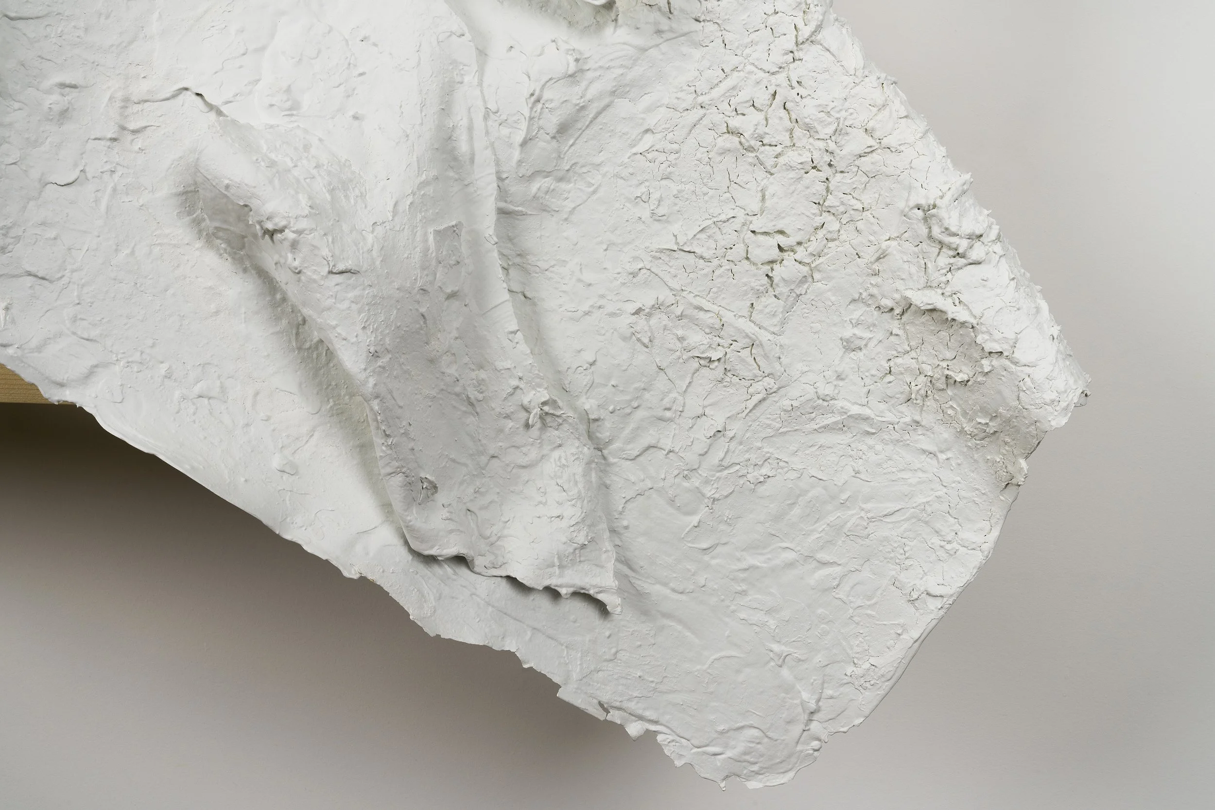 Exodus 6, 2025 wood and wall paint  48 X 57 in(d).jpg