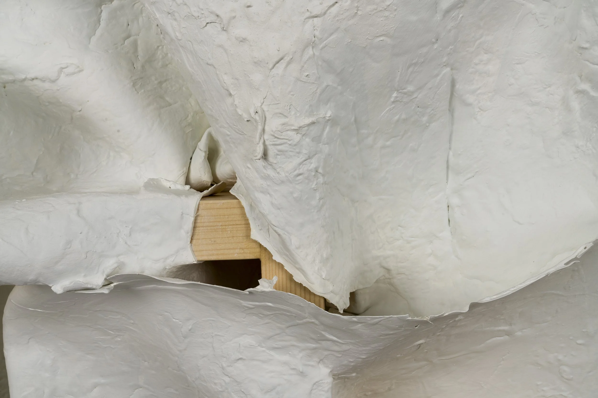 Exodus 4, 2025 wood and wall paint 48 X 56 in (b).jpg