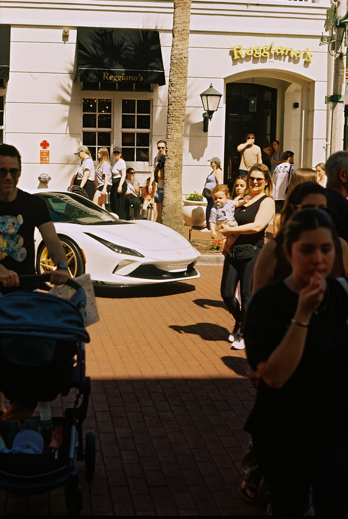 nicholas008371-R1-036.jpg