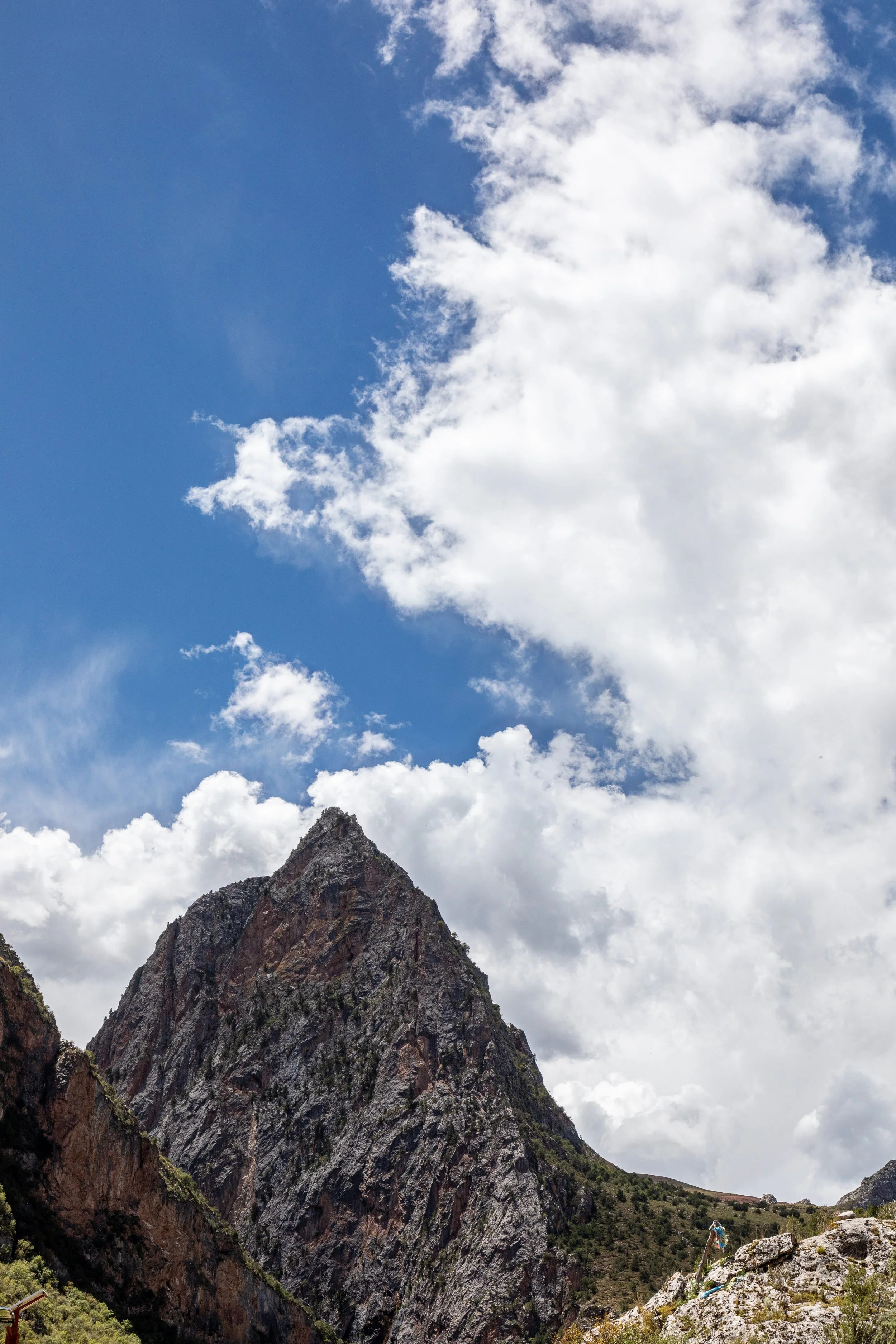 4F3A5196-HDR.jpg