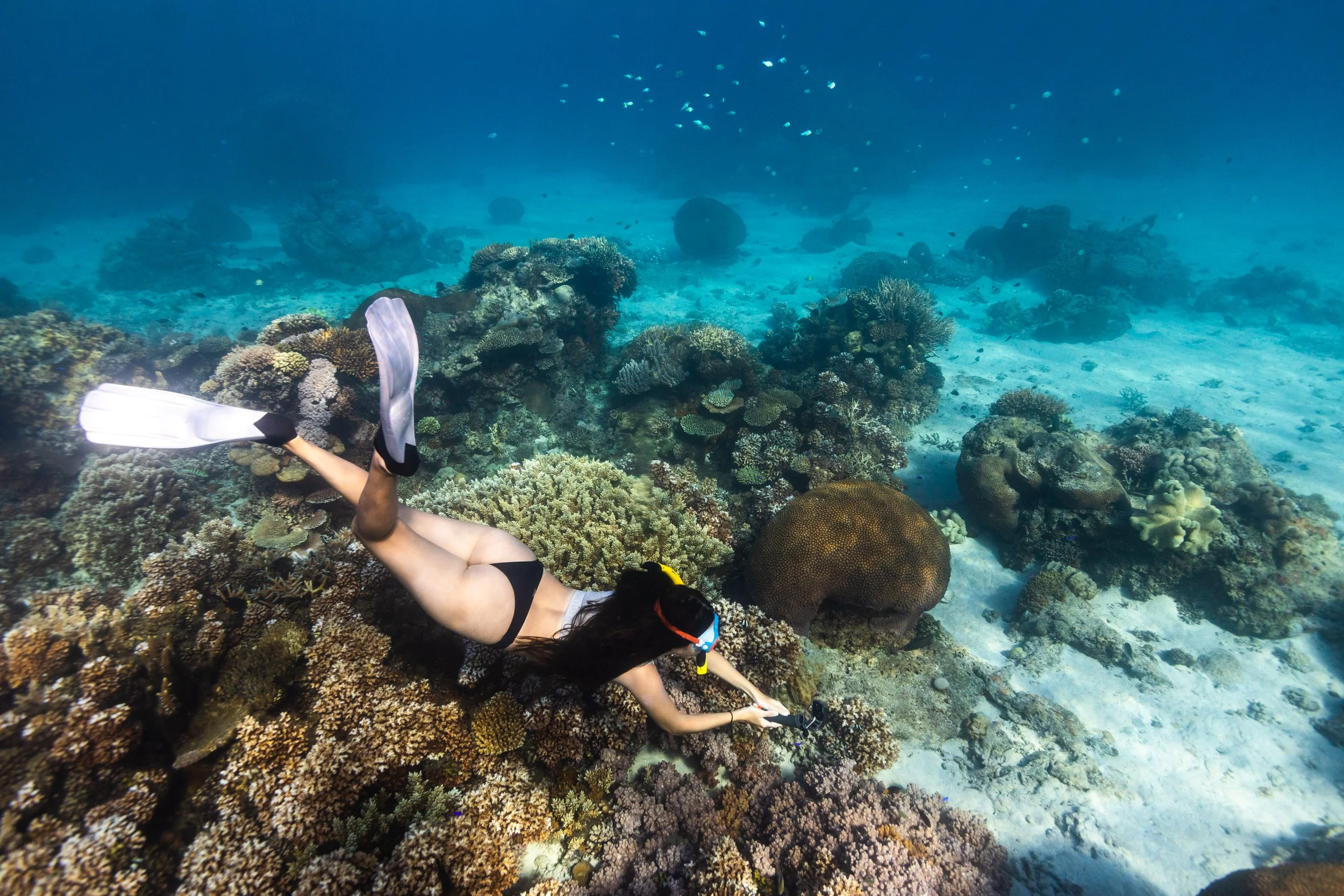 Fiji high-res-275.jpg