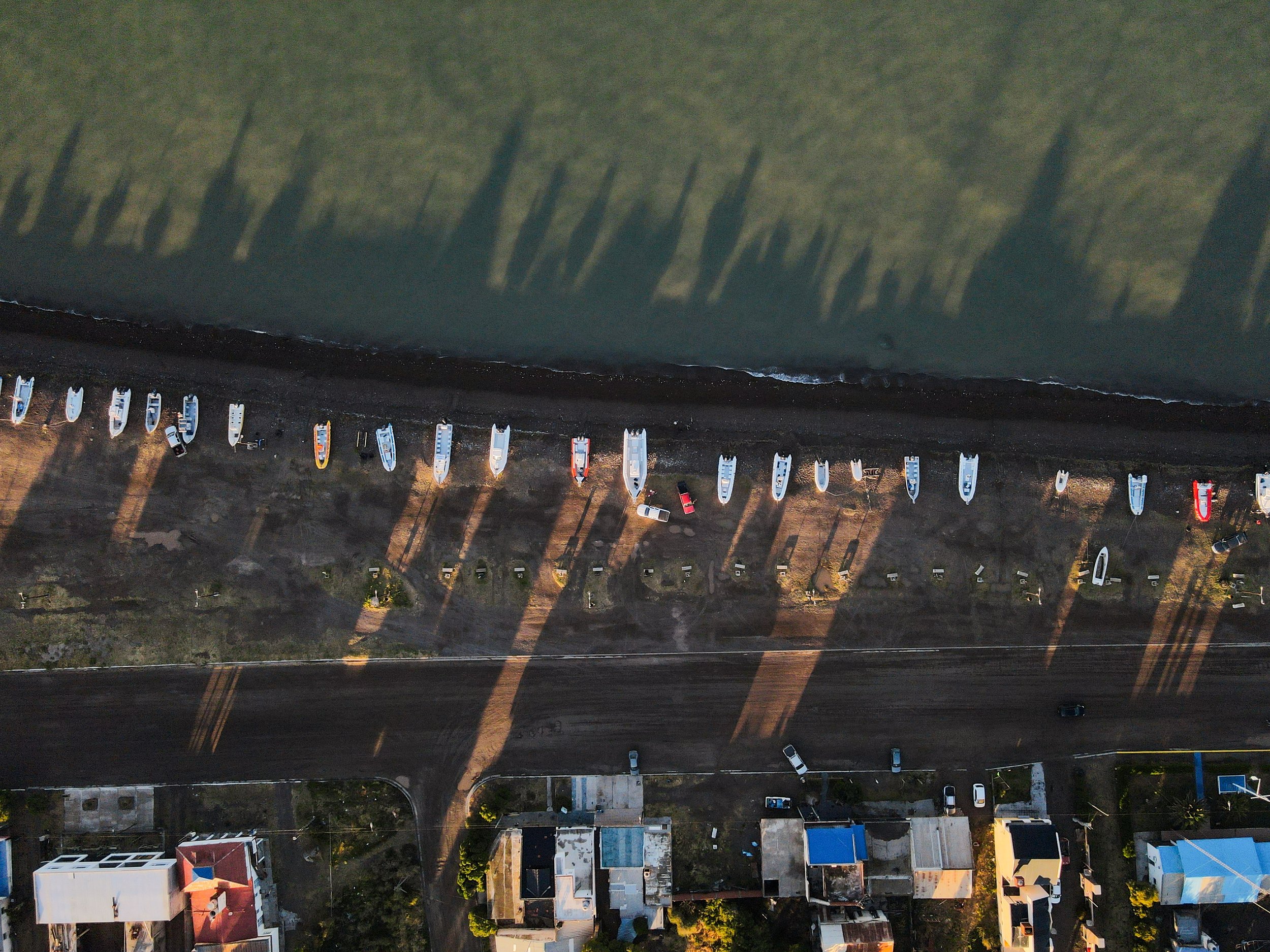 WCS San Blas Sharks-144.jpg