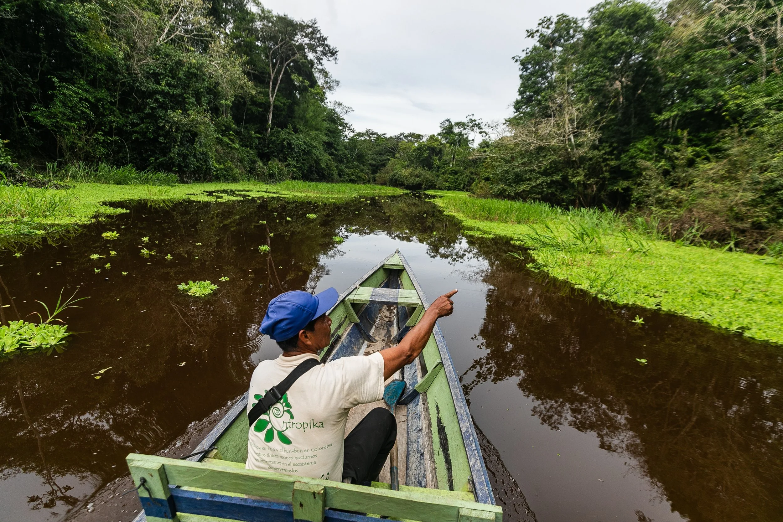 Amazonas 25-635.jpg