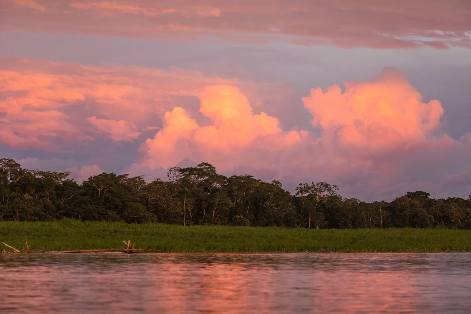 amazonas-1-82.jpg