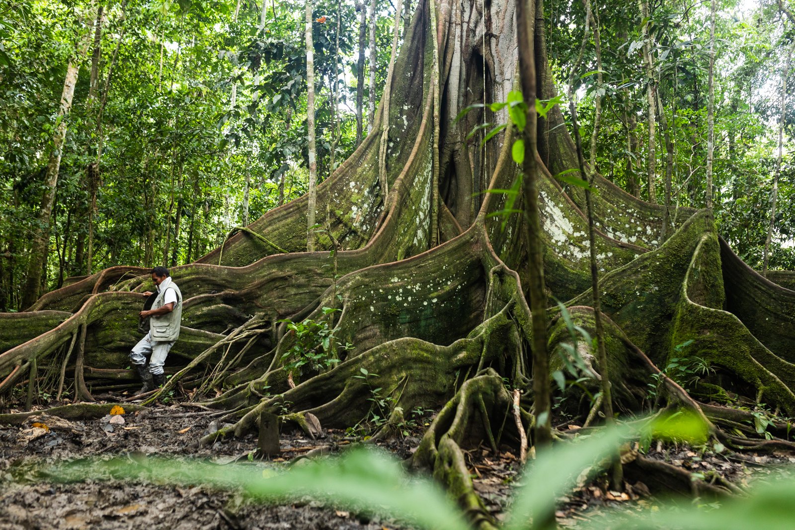 amazonas-1-70.jpg