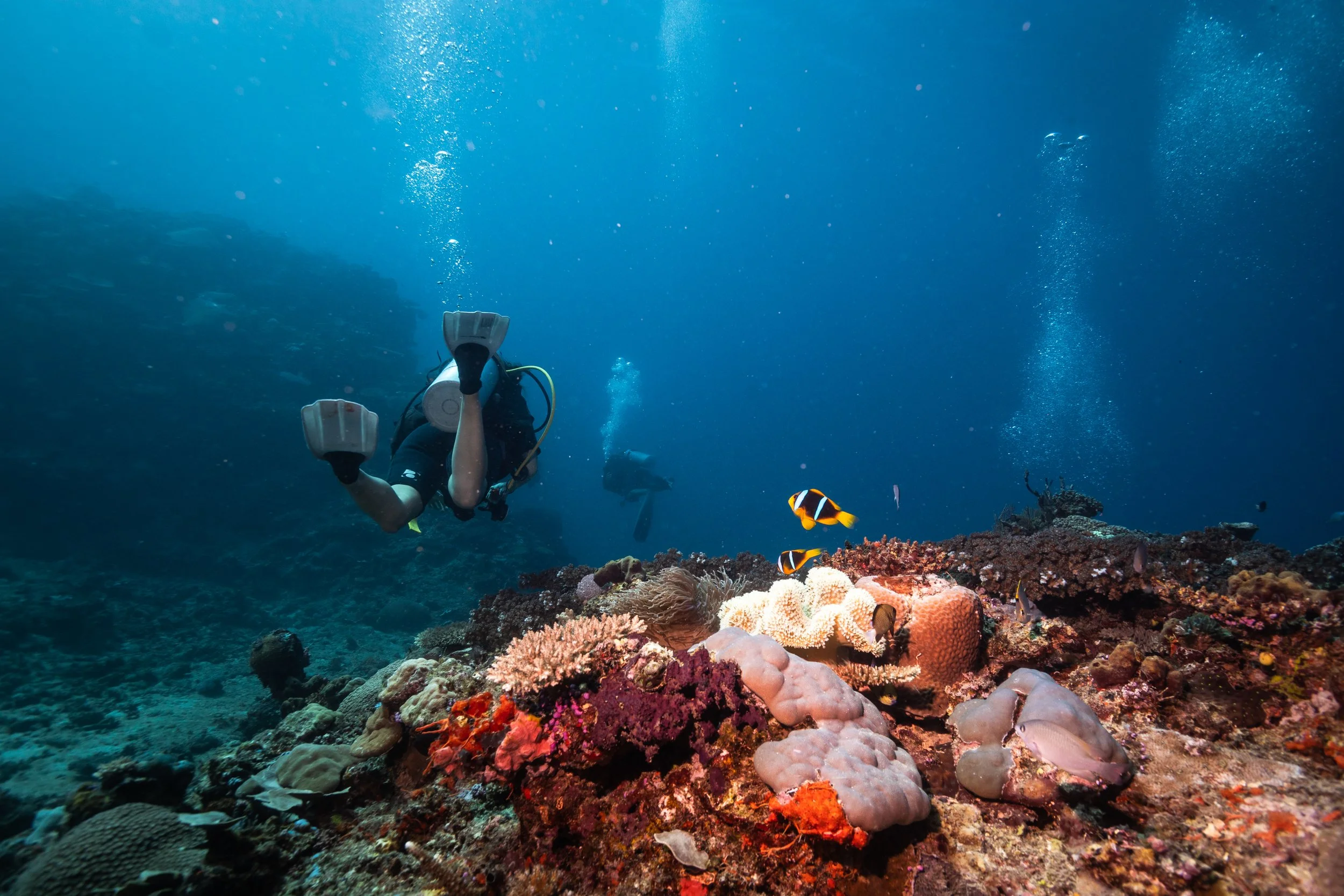 Fiji high-res-301.jpg