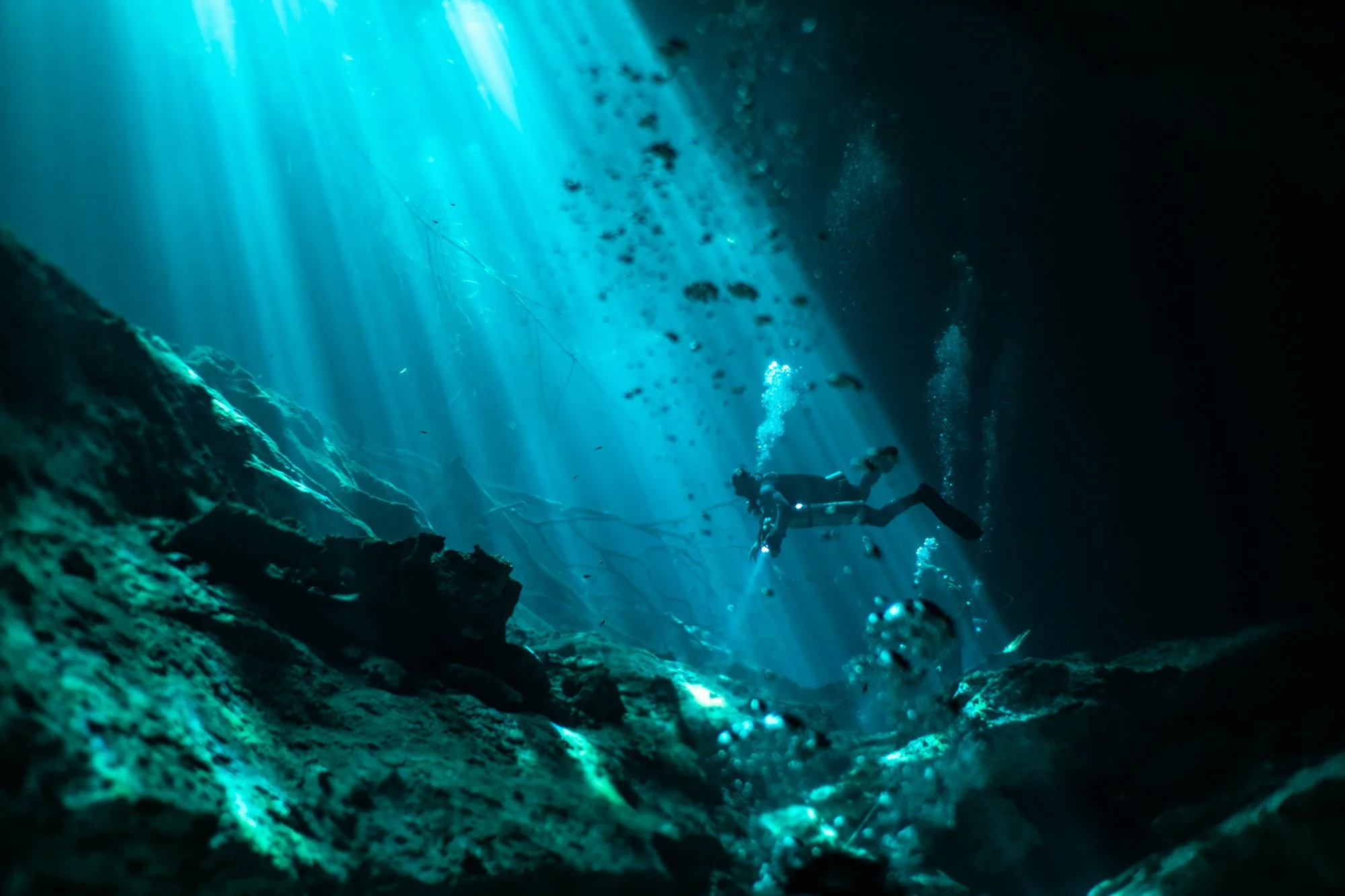 Cenotes red selects-14.jpg