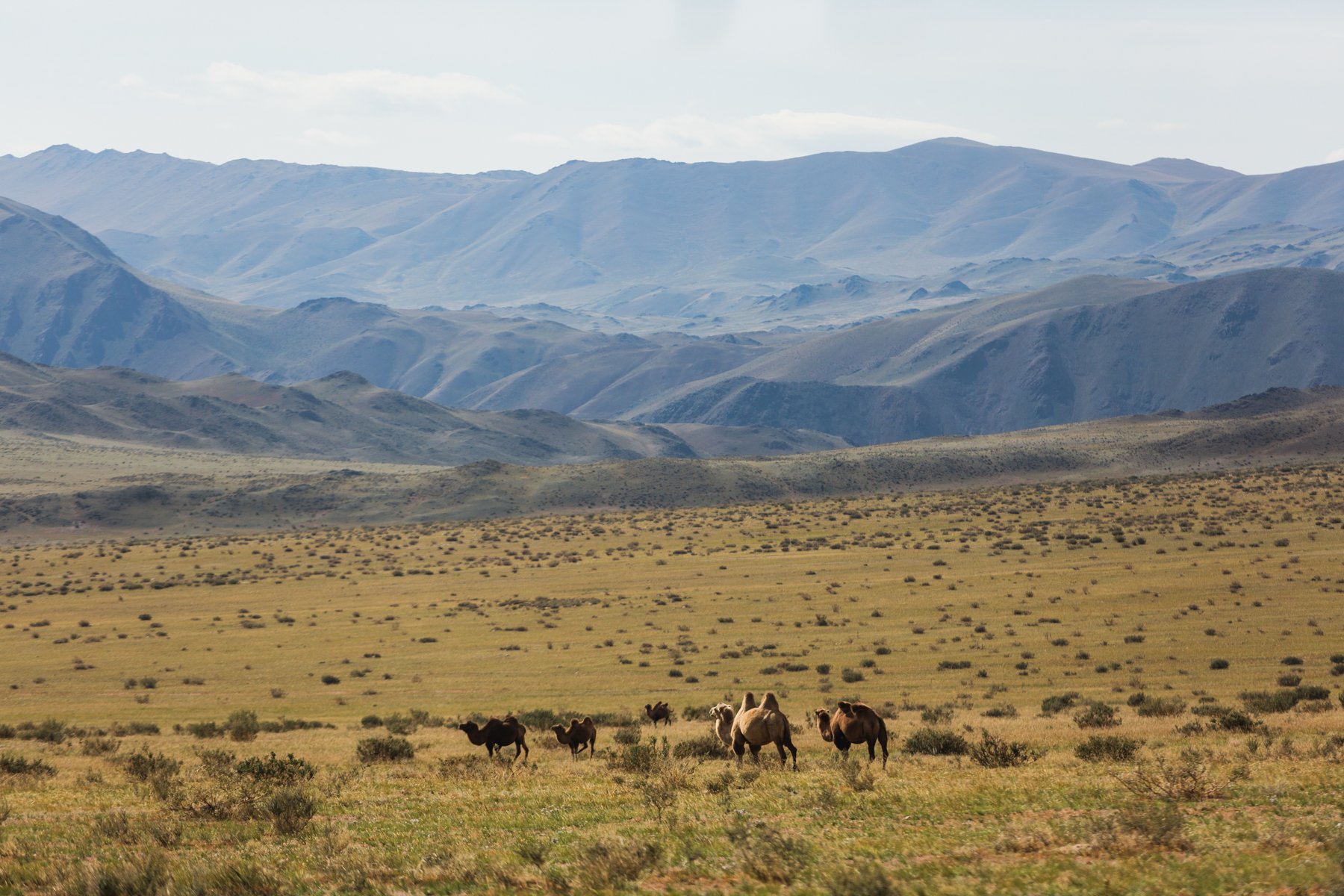mongolia climate 1800-27.jpg