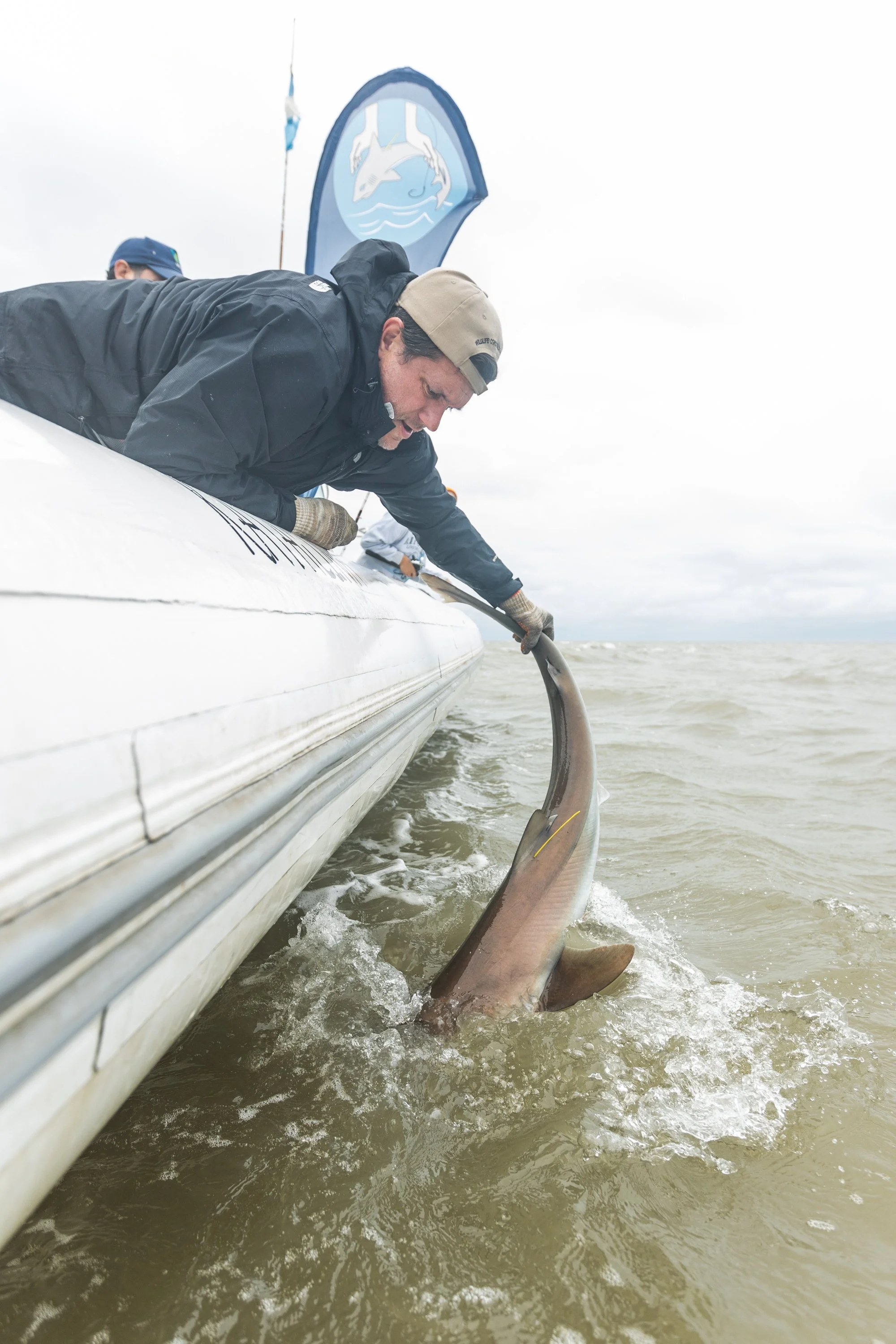 WCS San Blas Sharks-109.jpg