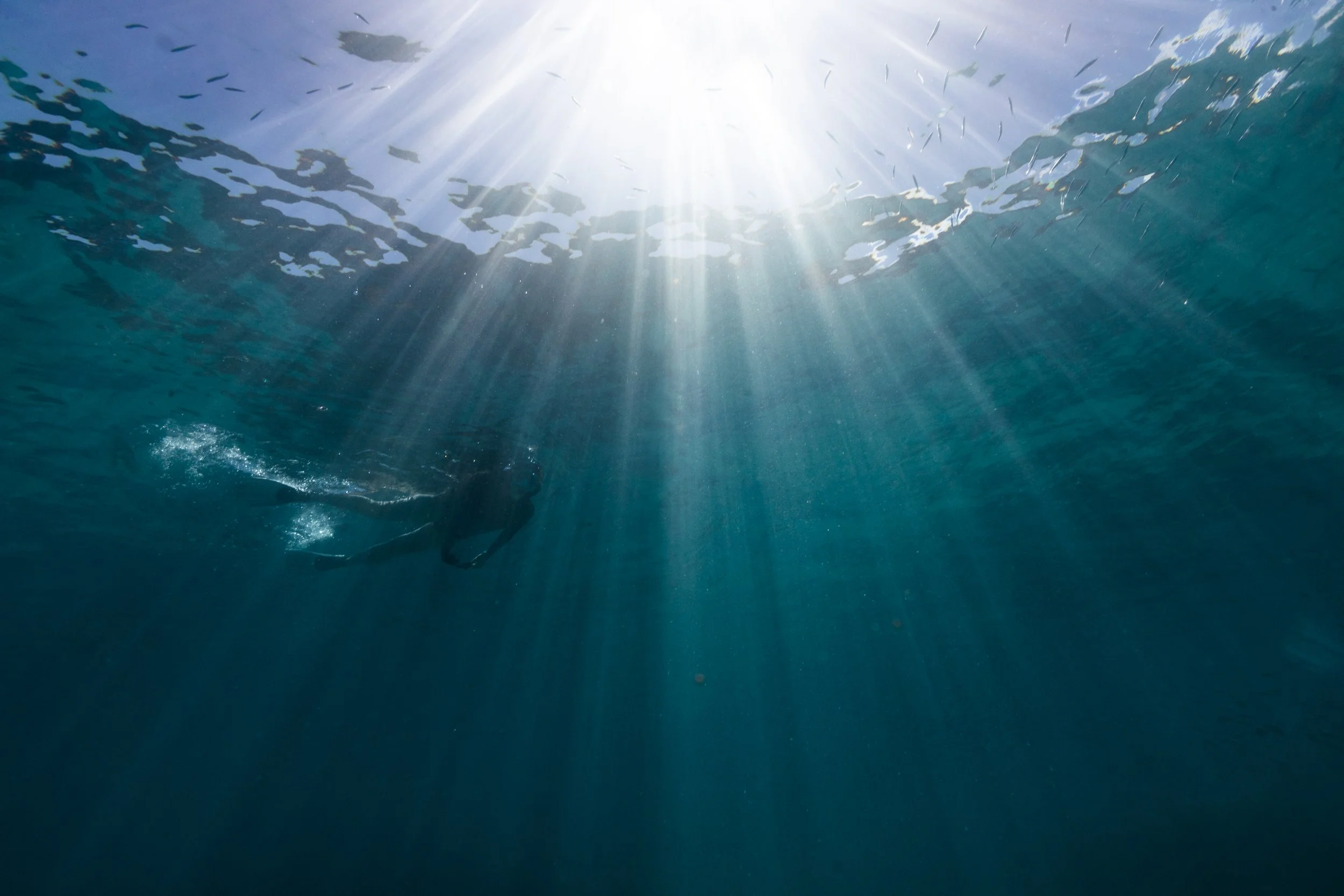 Fiji high-res-337.jpg