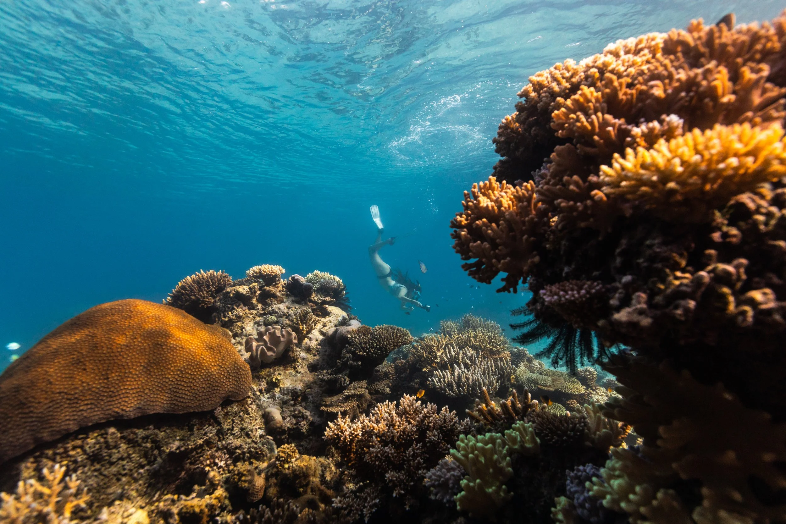 Fiji high-res-283.jpg