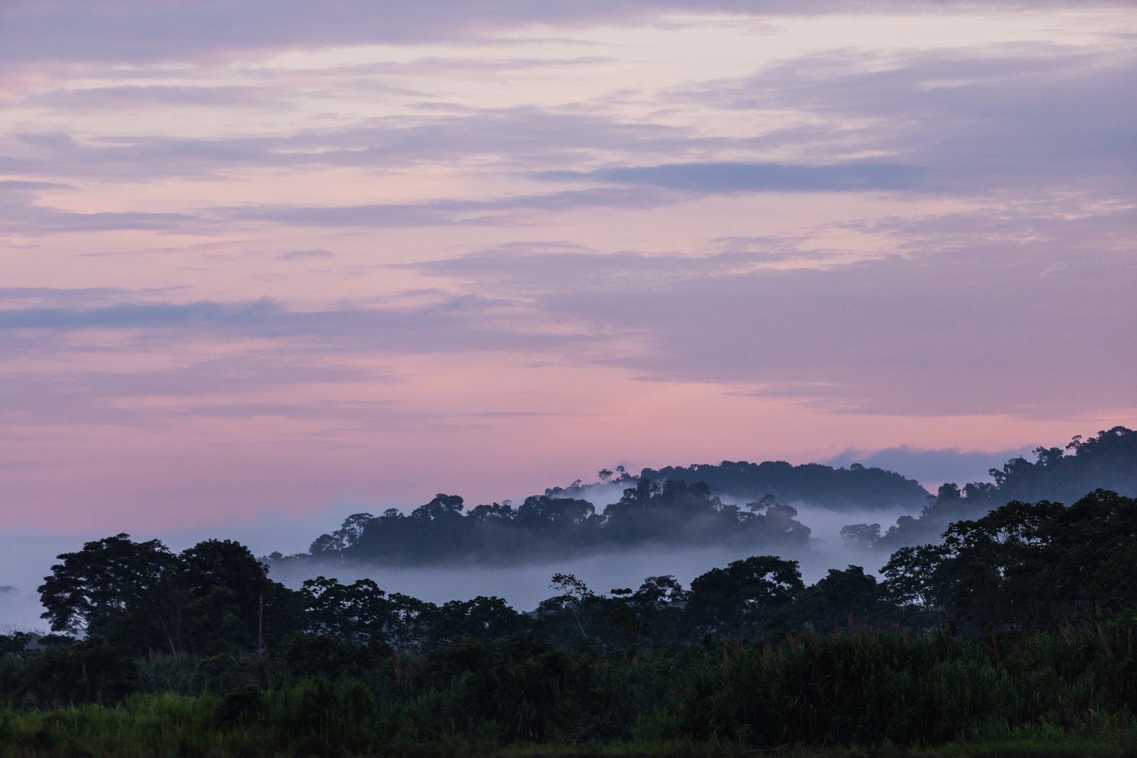 Sunrise over the jungle in Parque Nacional del Manu, Peru.