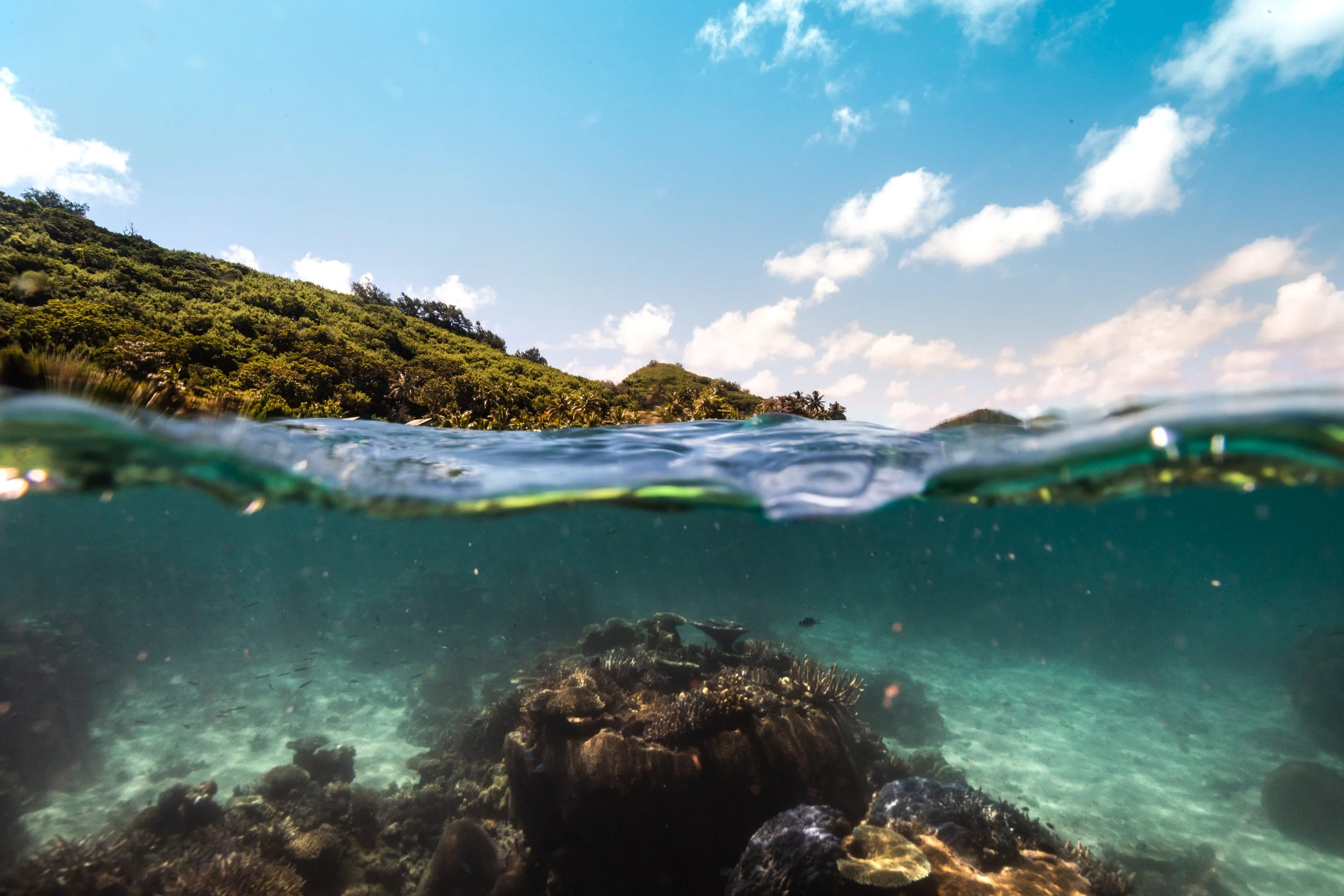 Fiji high-res-317.jpg