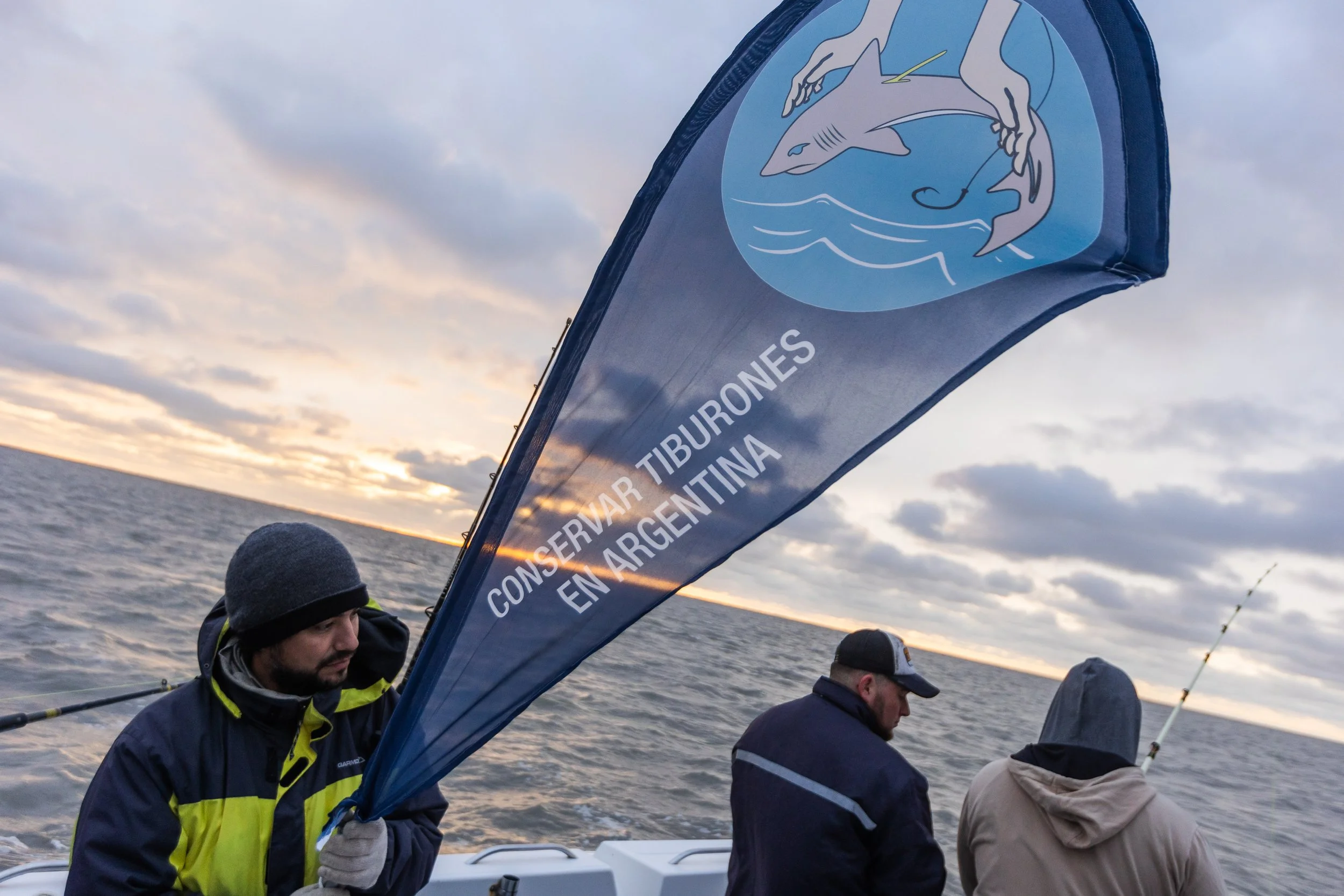 WCS San Blas Sharks-22.jpg