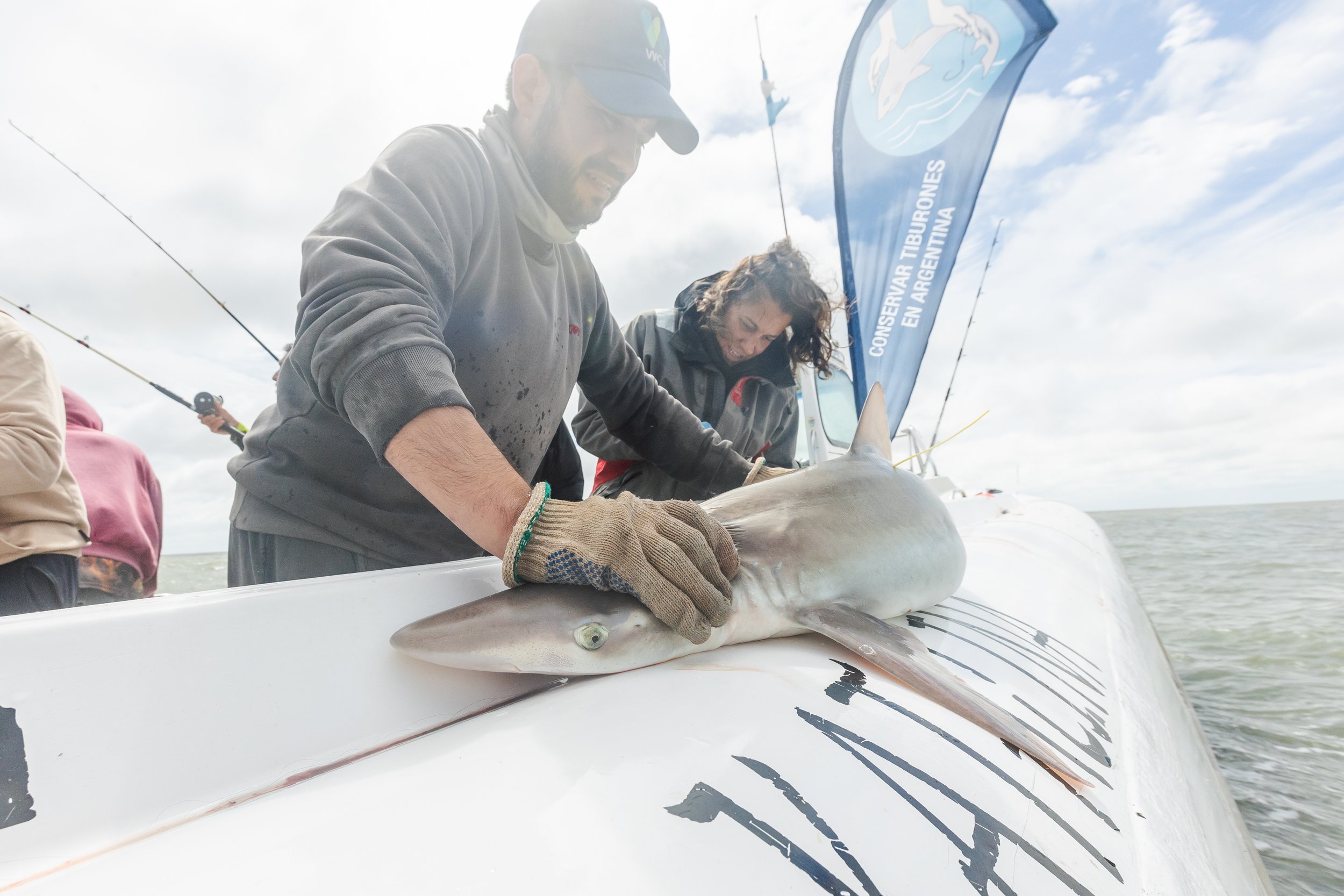 WCS San Blas Sharks-77.jpg