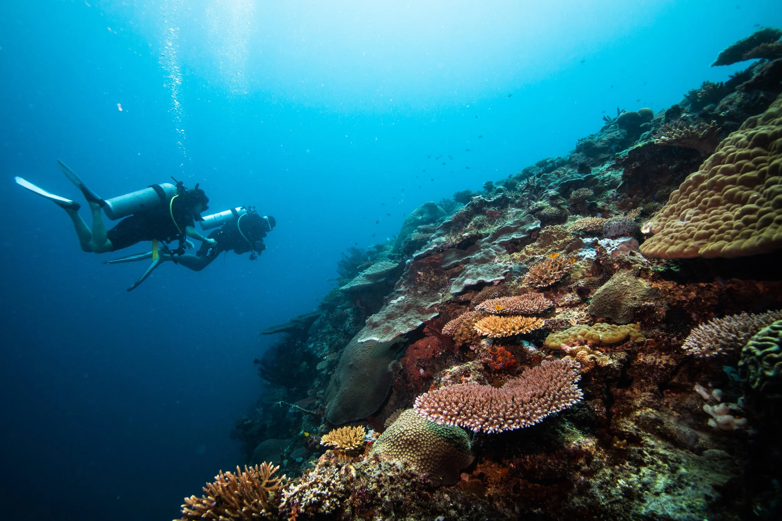 Fiji high-res-21.jpg