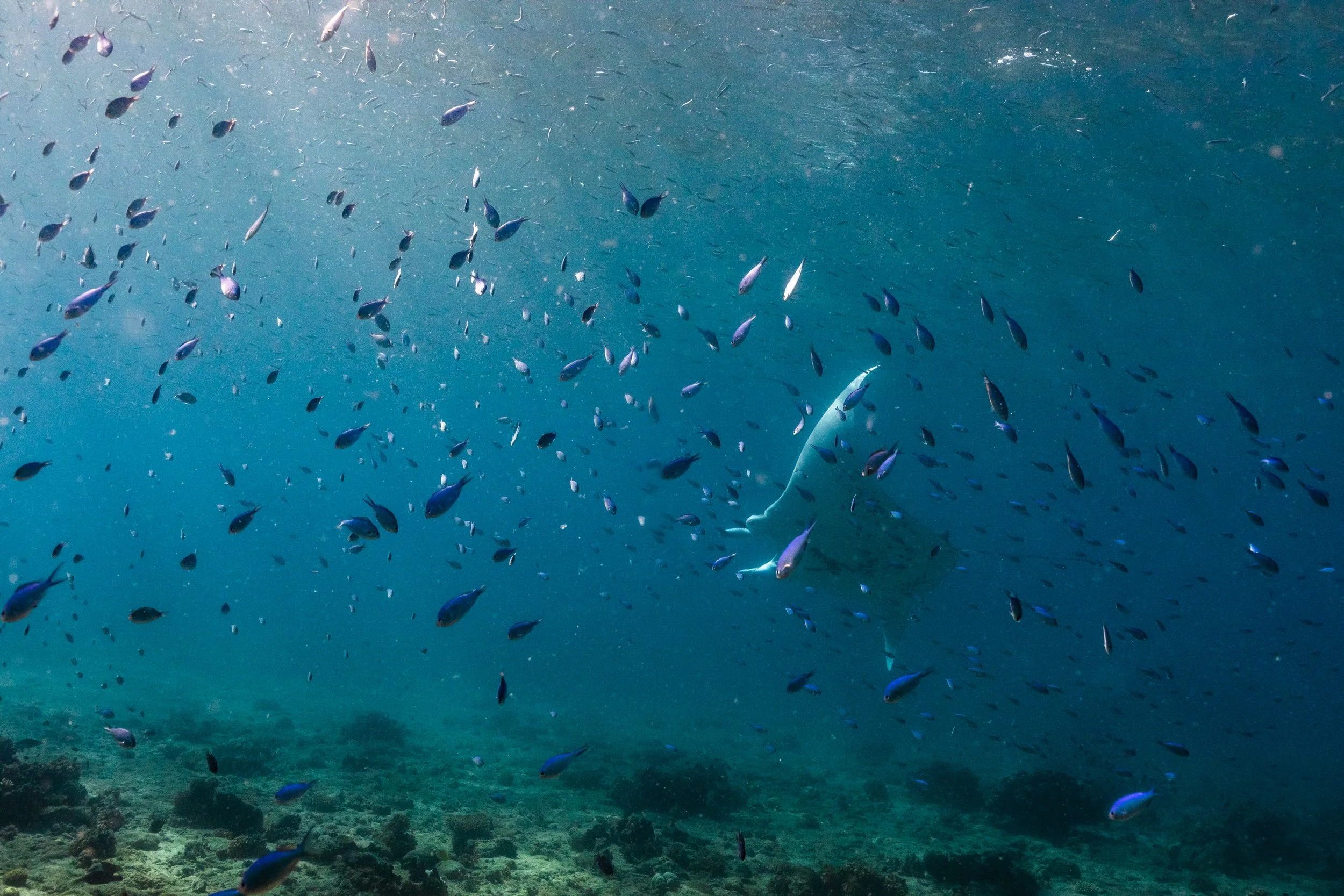 Fiji high-res-552.jpg