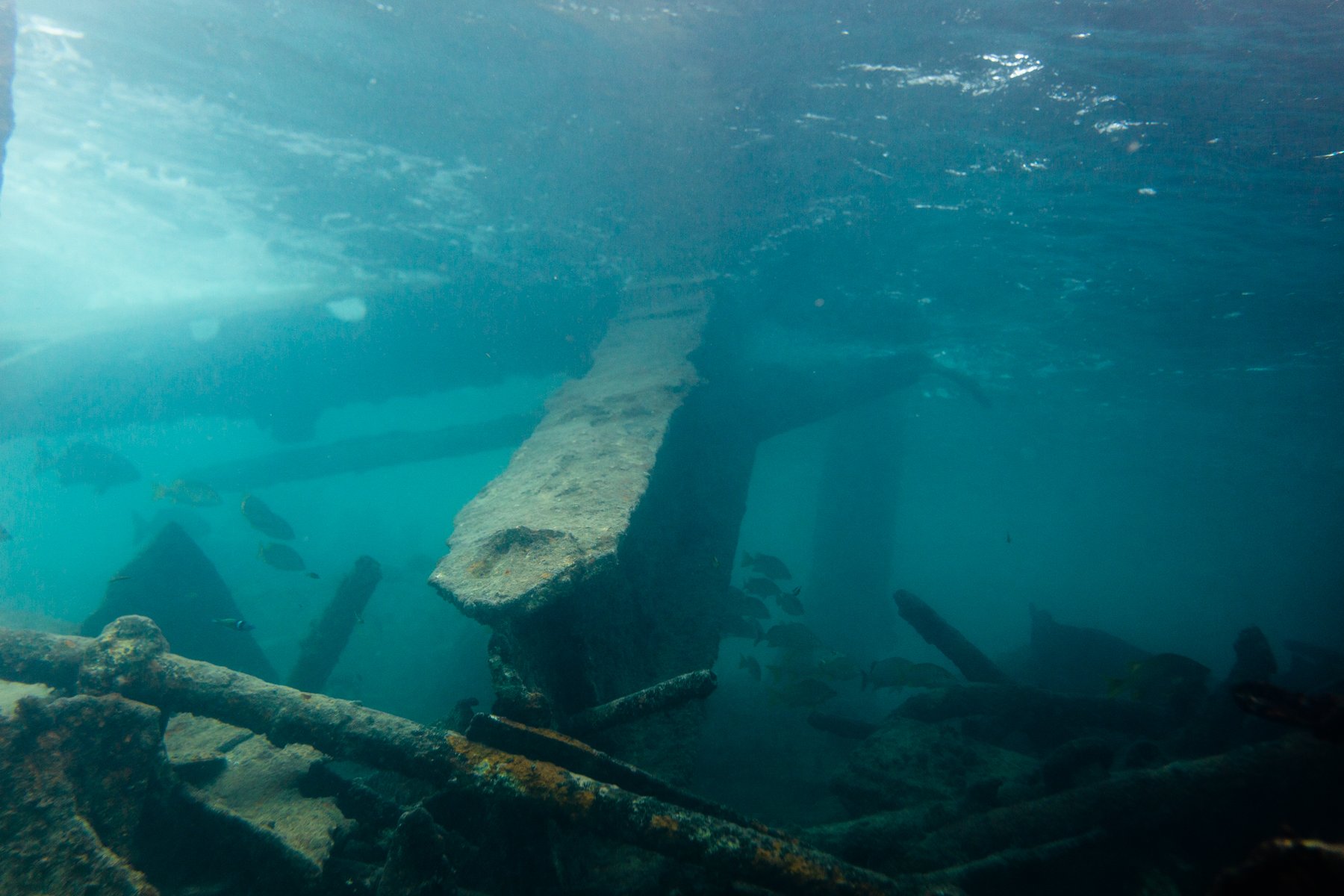 diving colombia 1800-1-38.jpg