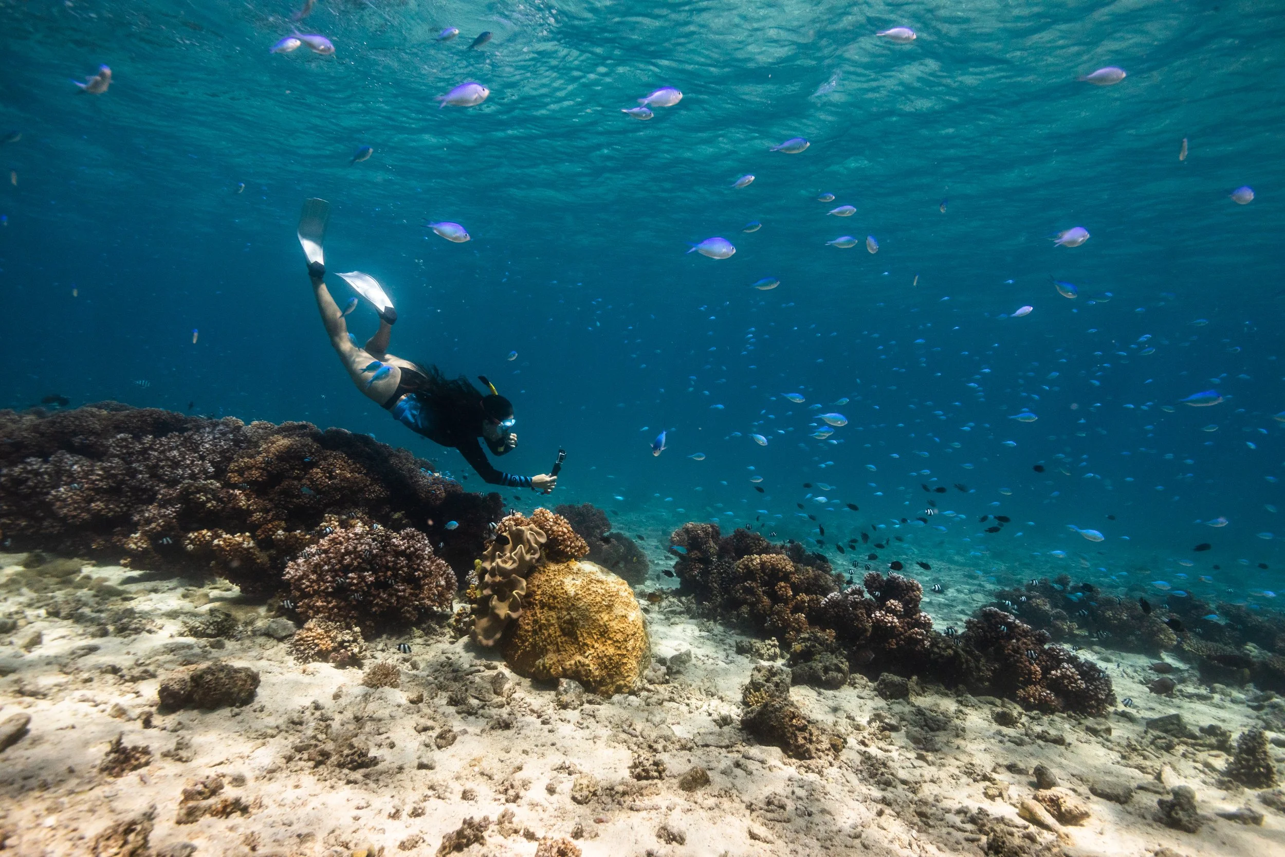 Fiji high-res-387.jpg