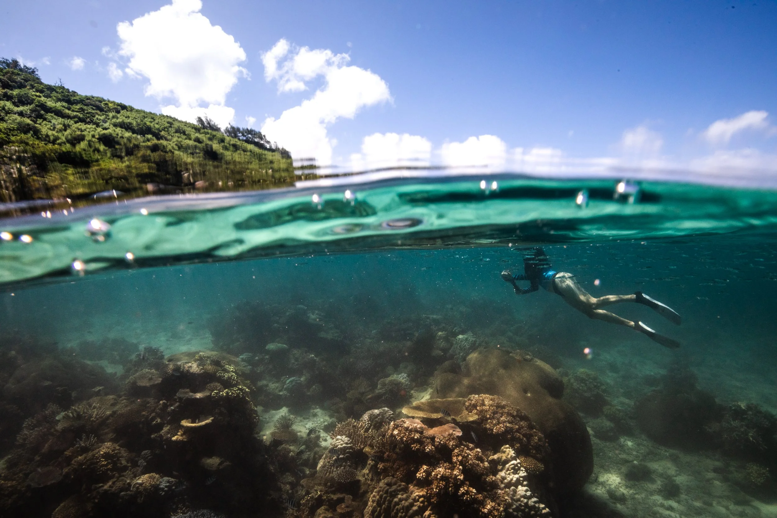 Fiji high-res-327.jpg