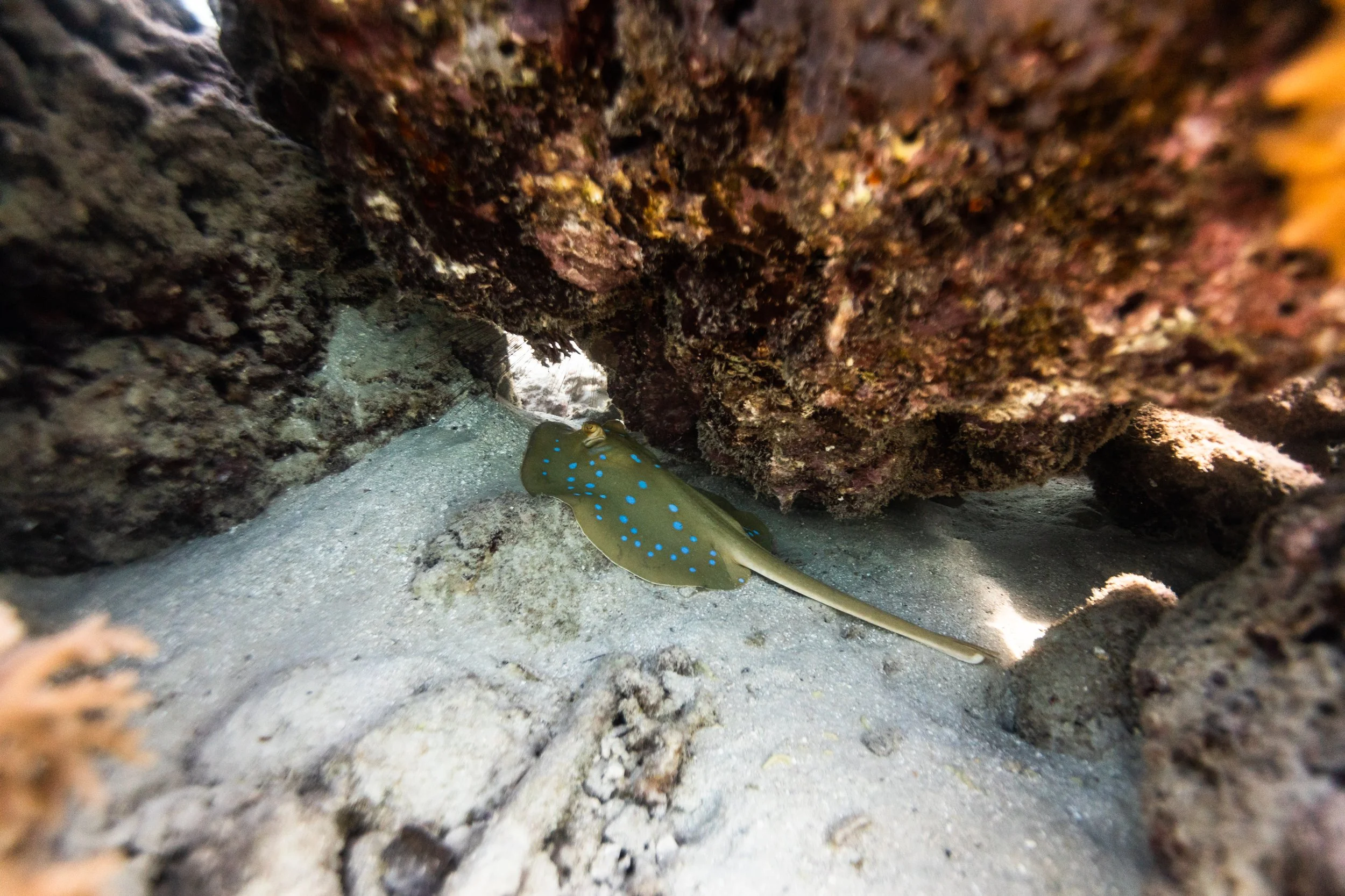 Fiji high-res-536.jpg