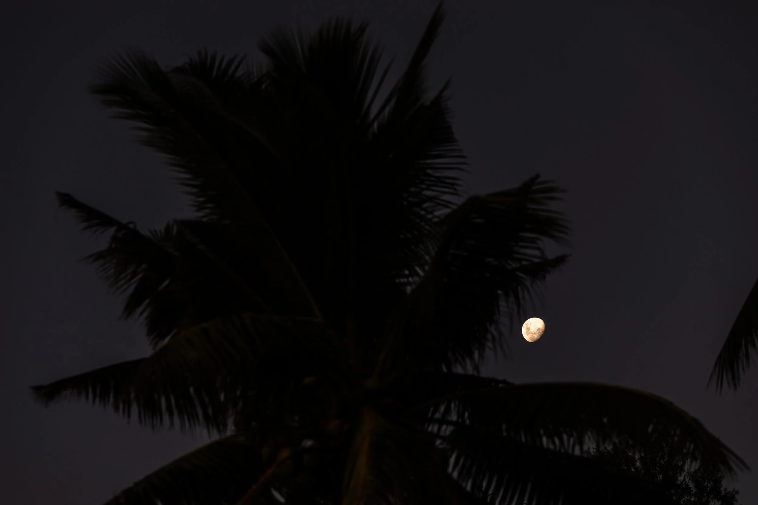 Fiji high-res-360.jpg