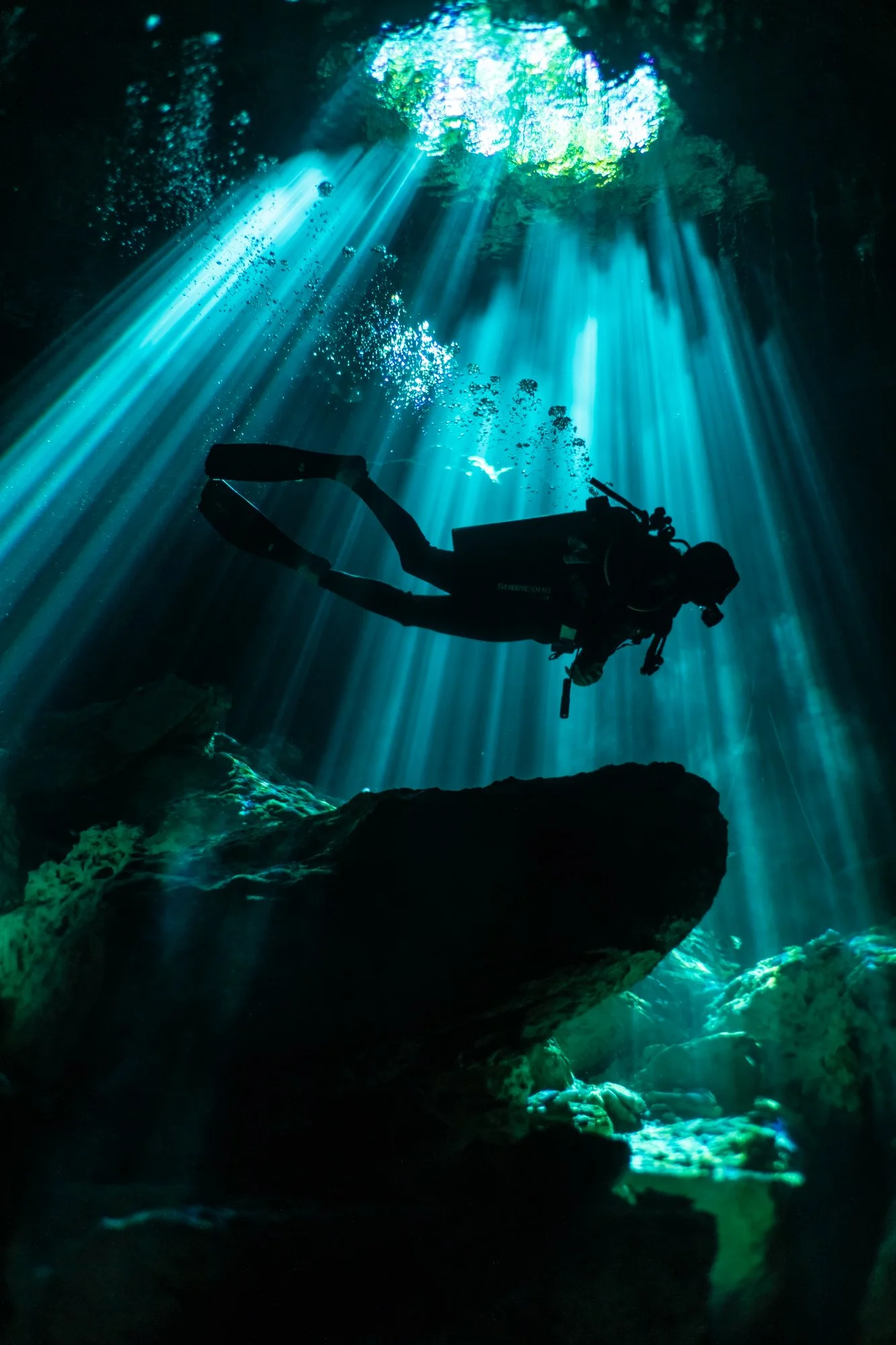Cenotes red selects-45.jpg