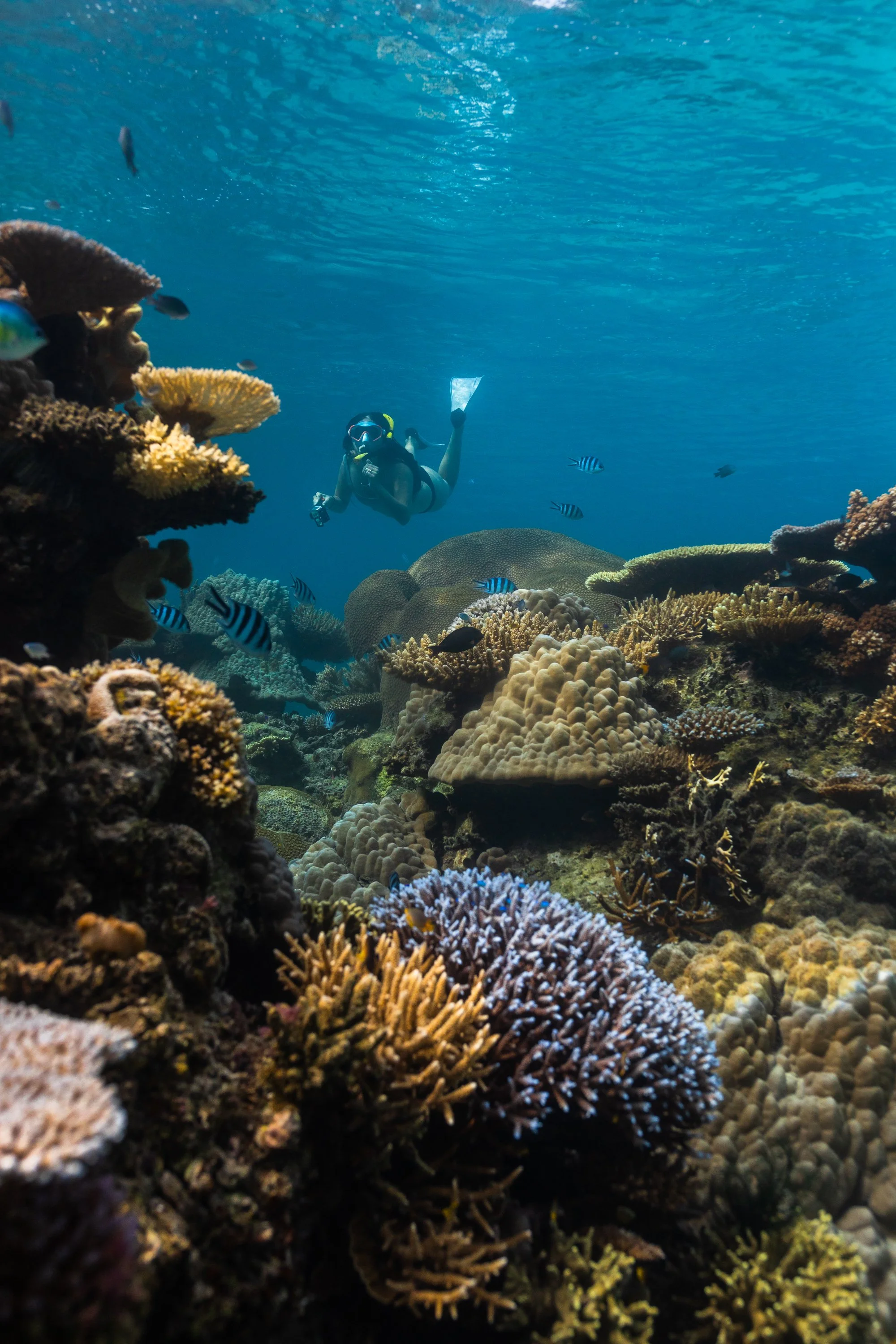 Fiji high-res-259.jpg