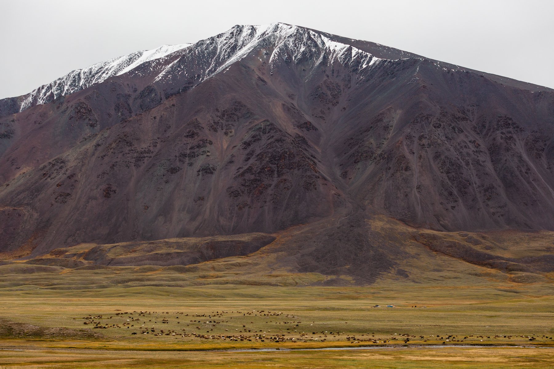 mongolia climate 1800-35.jpg