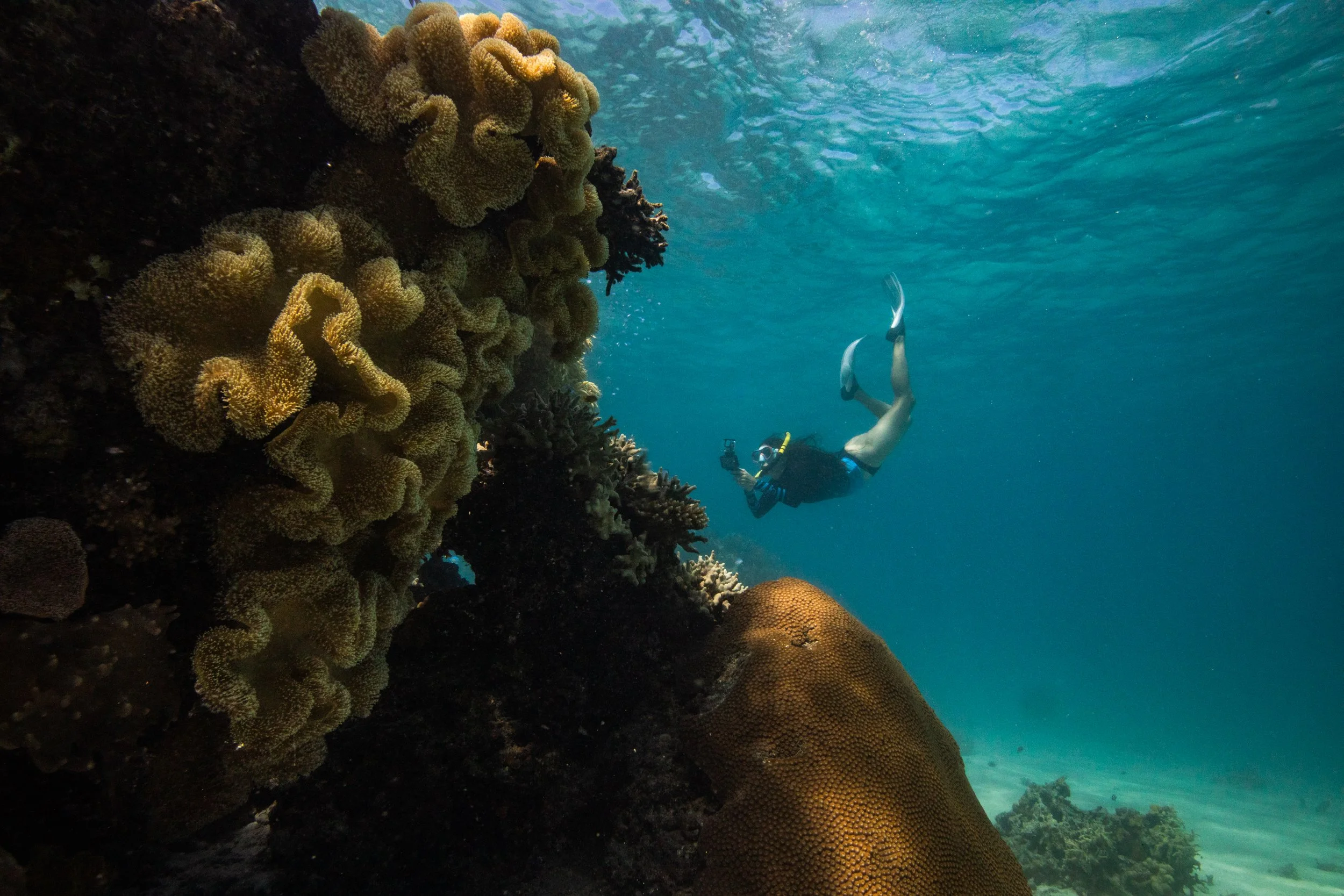 Fiji high-res-332.jpg