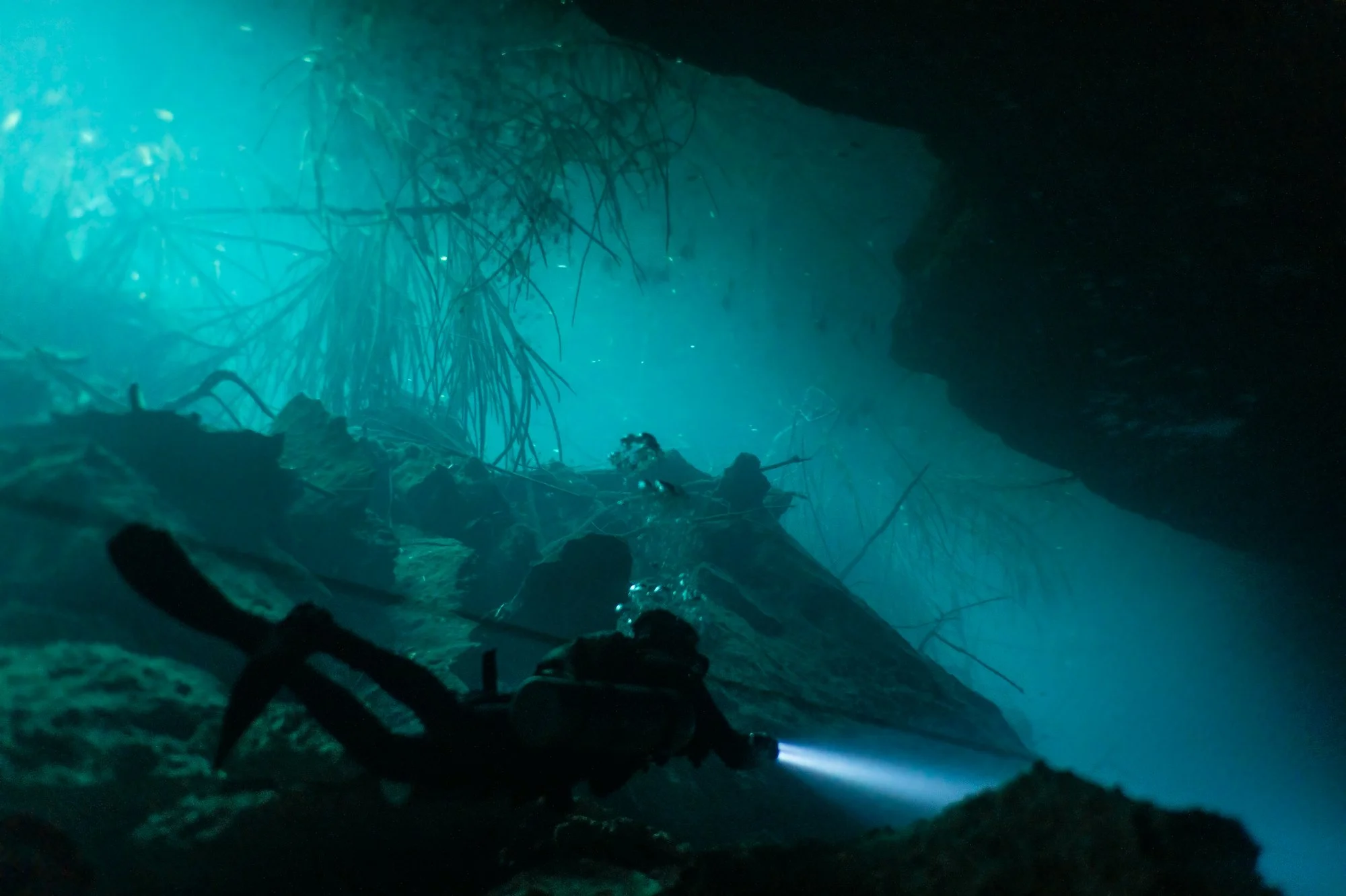 Cenotes red selects-6.jpg