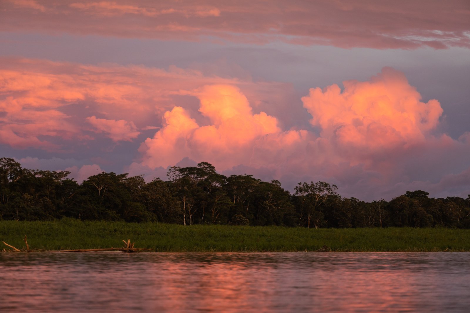 The massive thunderheads of monsoon-like rain clouds lit up pink and purple over the dense jungle of the Amazon.