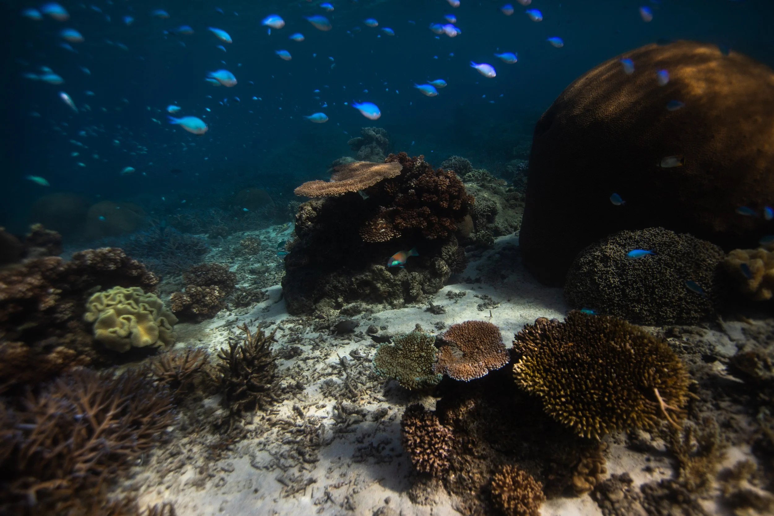 Fiji high-res-44.jpg