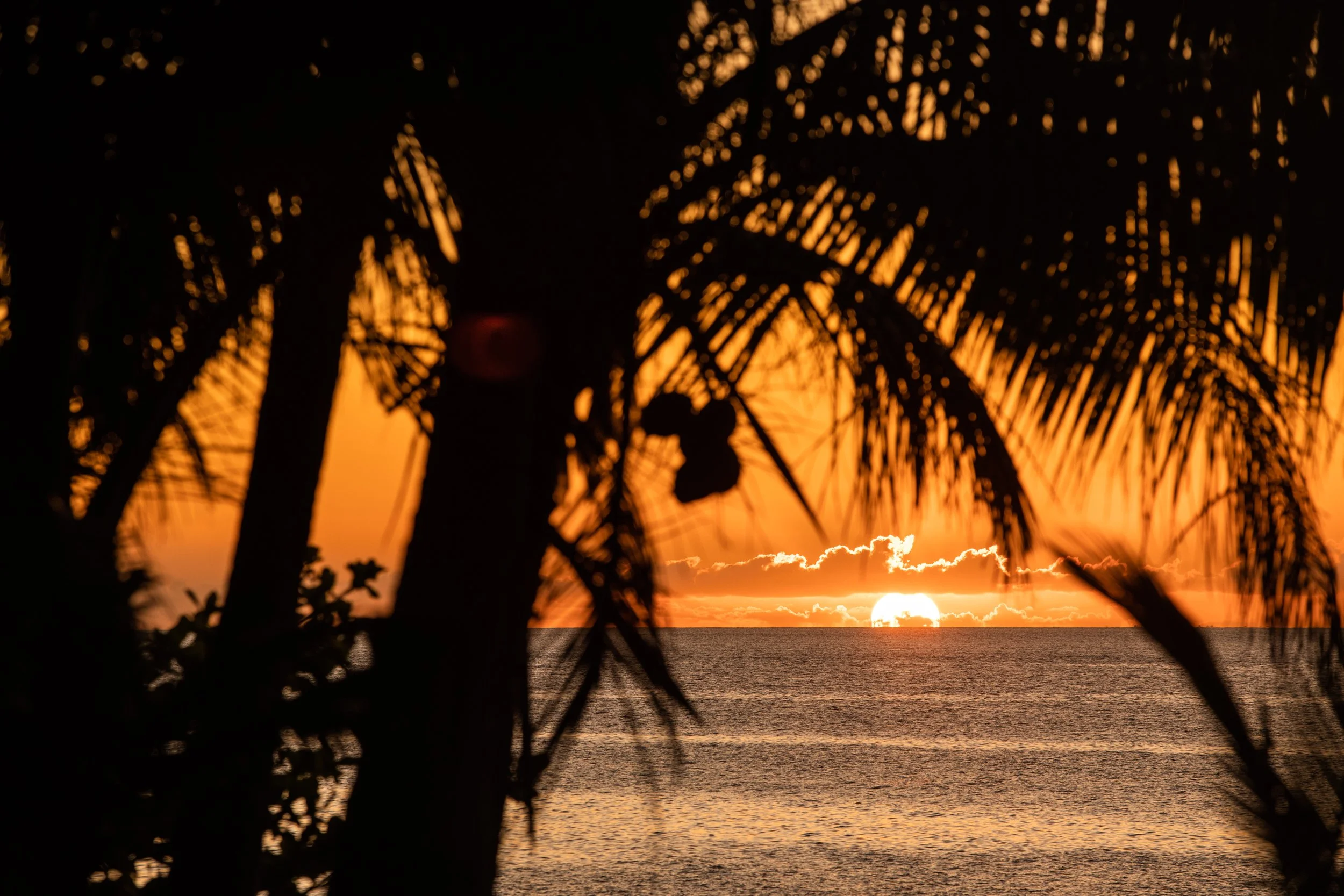 Fiji high-res-357.jpg