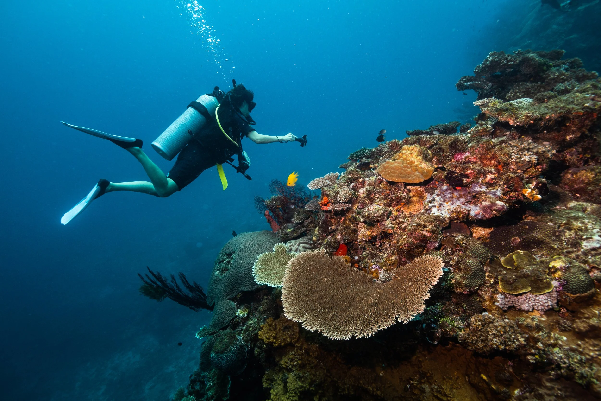 Fiji high-res-28.jpg