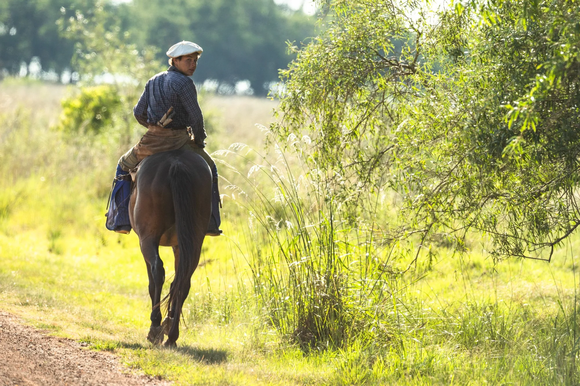 esteros del ibera-1.jpg